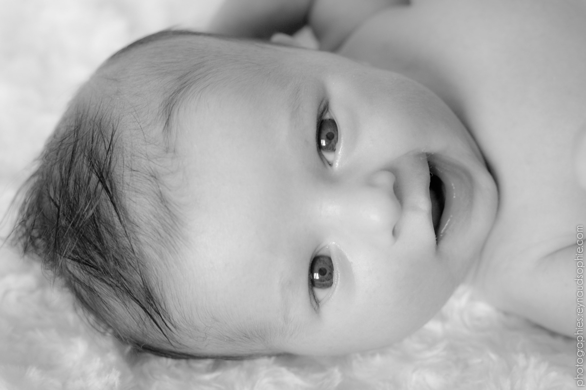 Photographe bebe dardilly