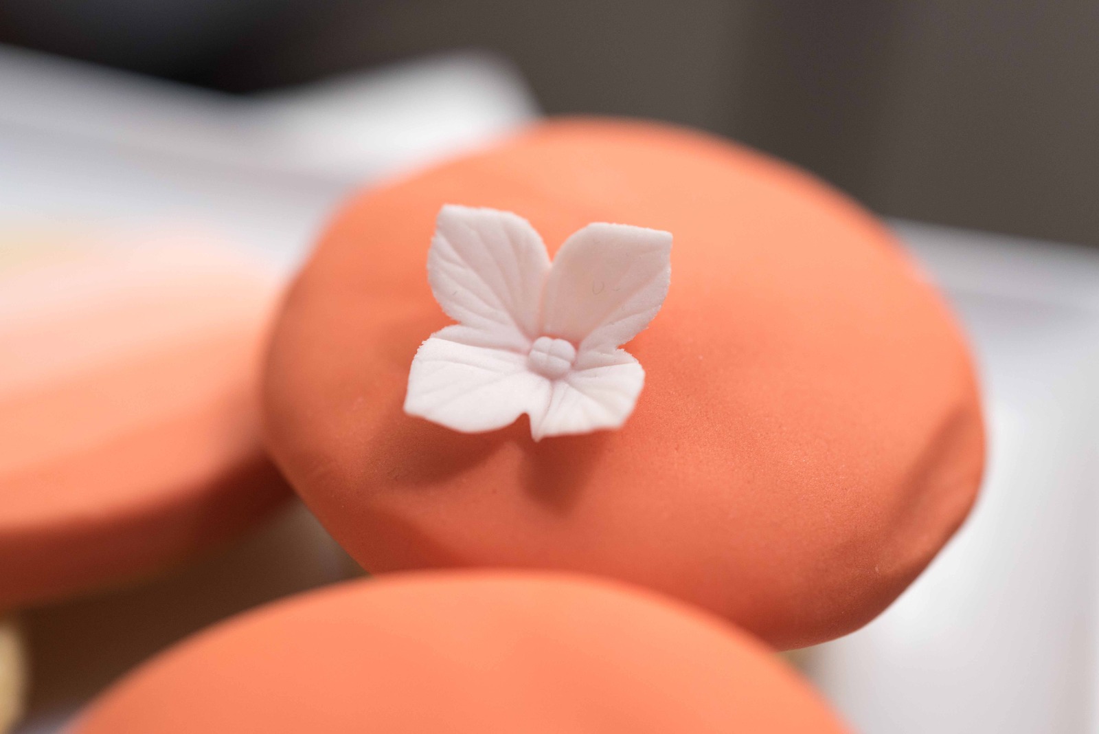 Photographe culinaire a lyon tarif