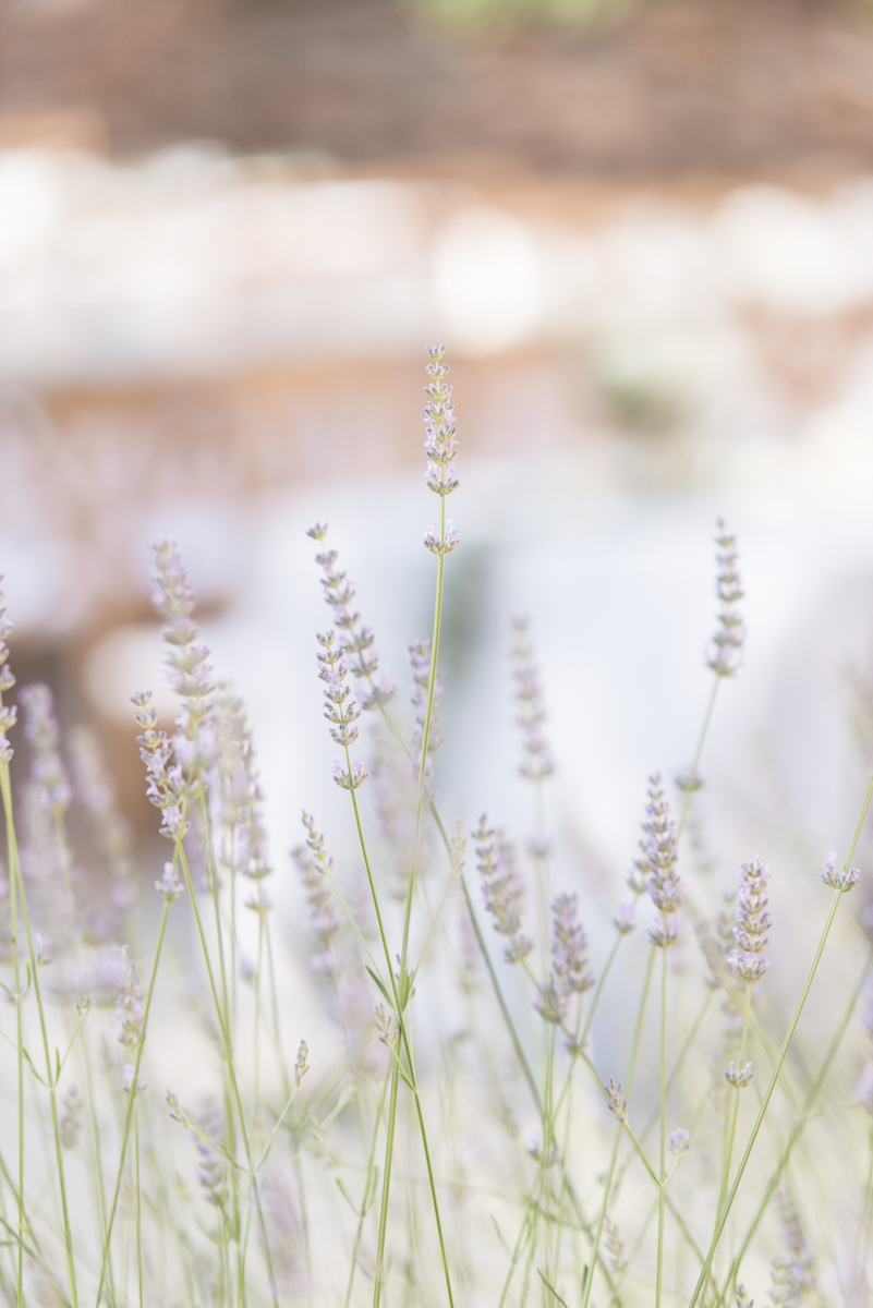 Photographe de mariage a marseille