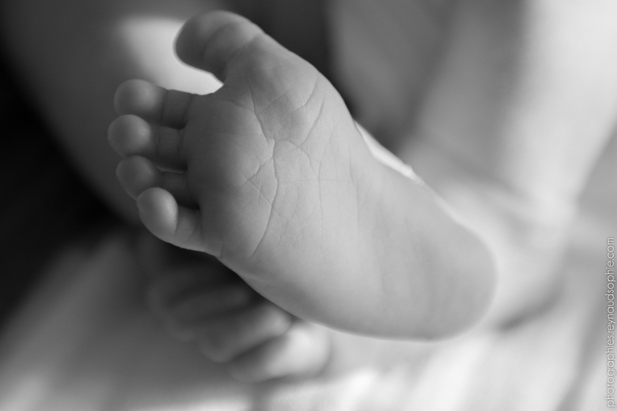 Photographe de naissance dardilly