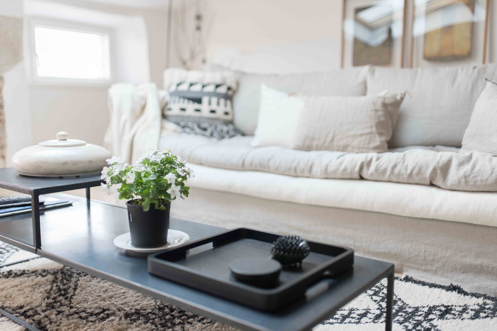 Photographe professionnel lyon immobilier 1