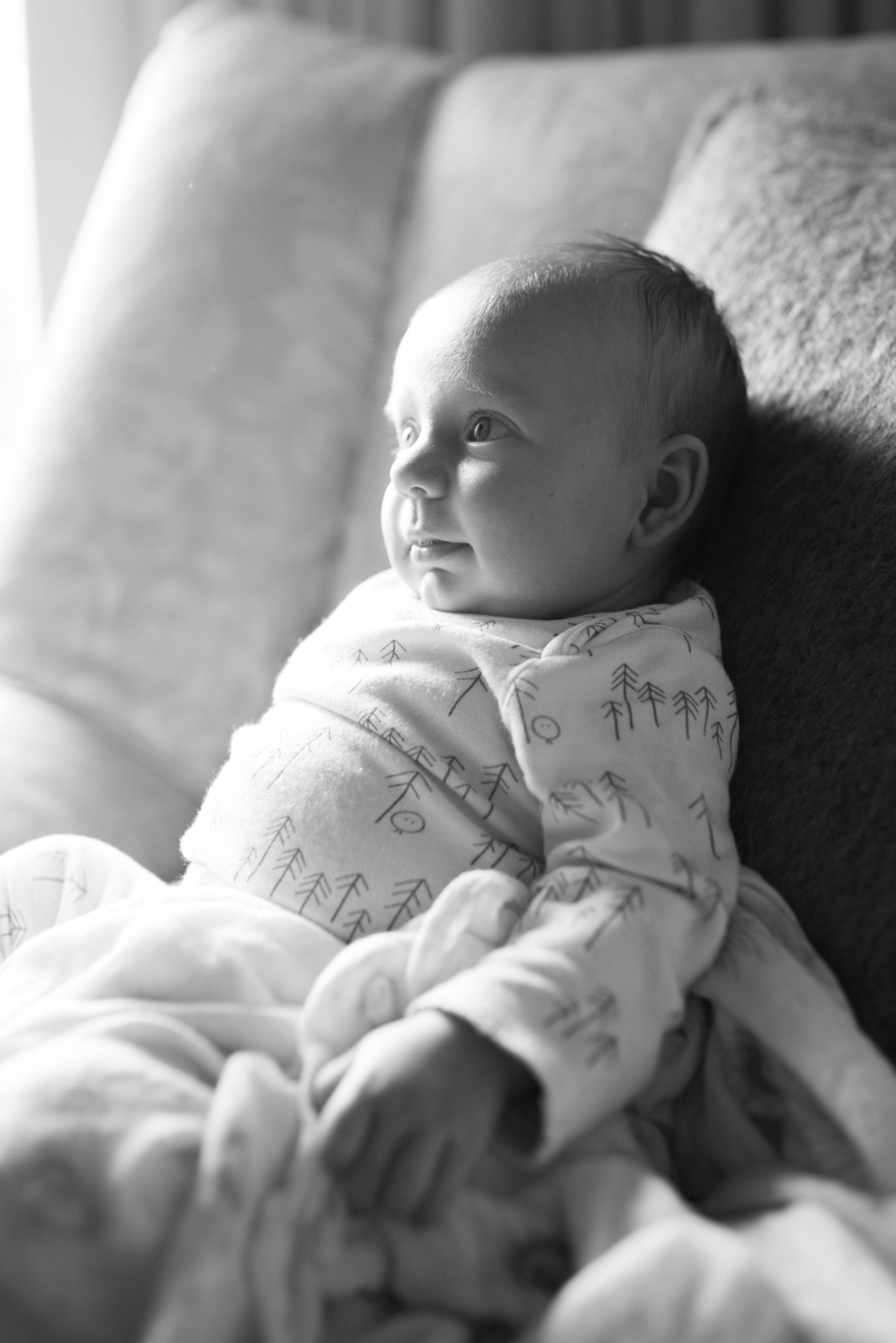 Recherche photographe naissance dardilly