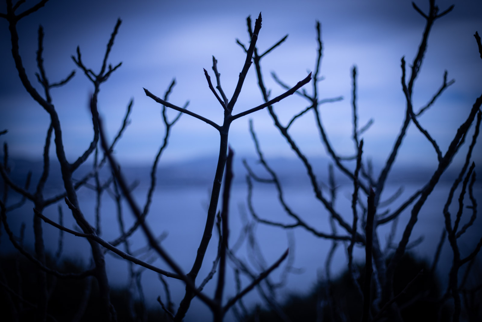 2021 12.PortfolioTL 4