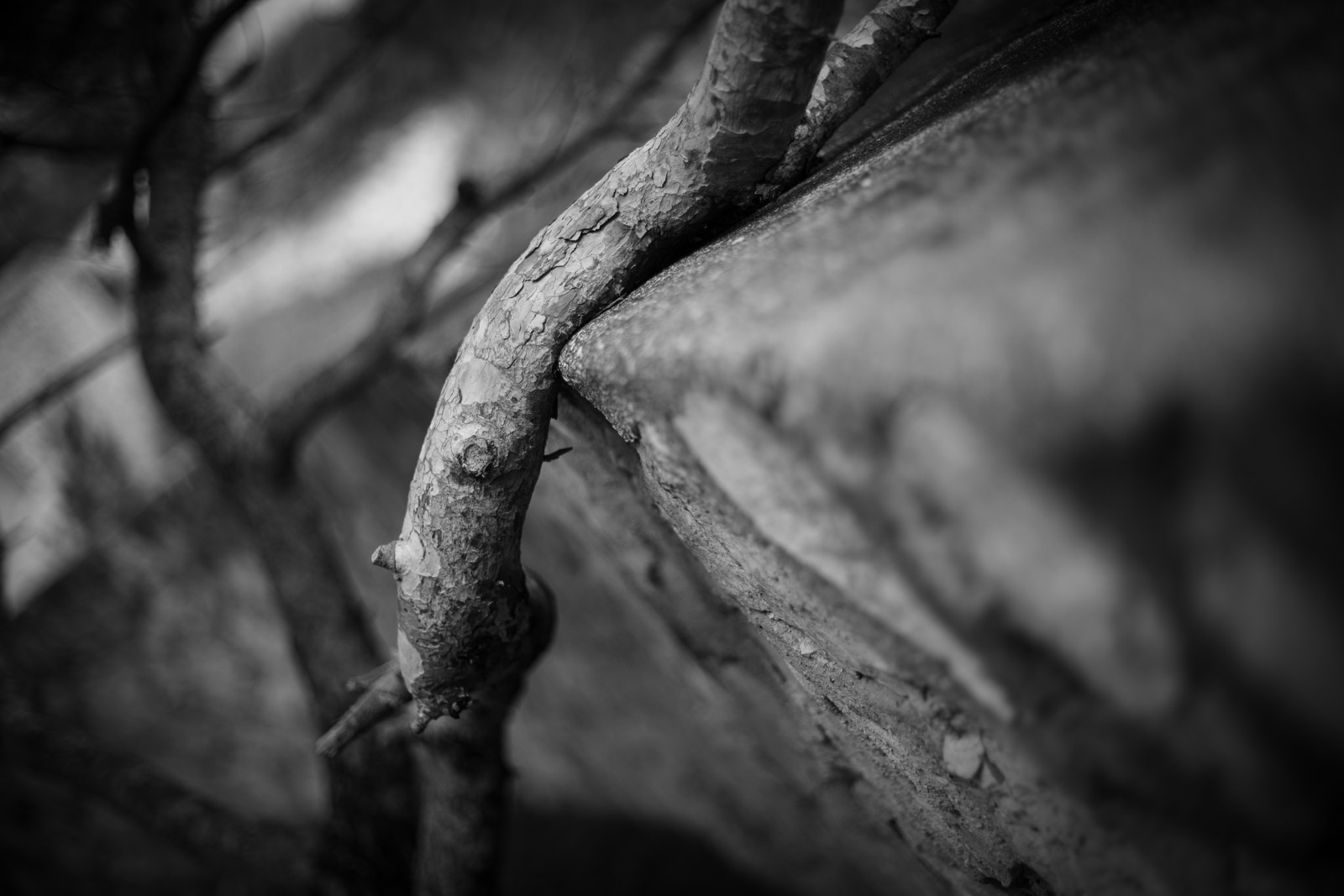 2021 12.PortfolioTL 6