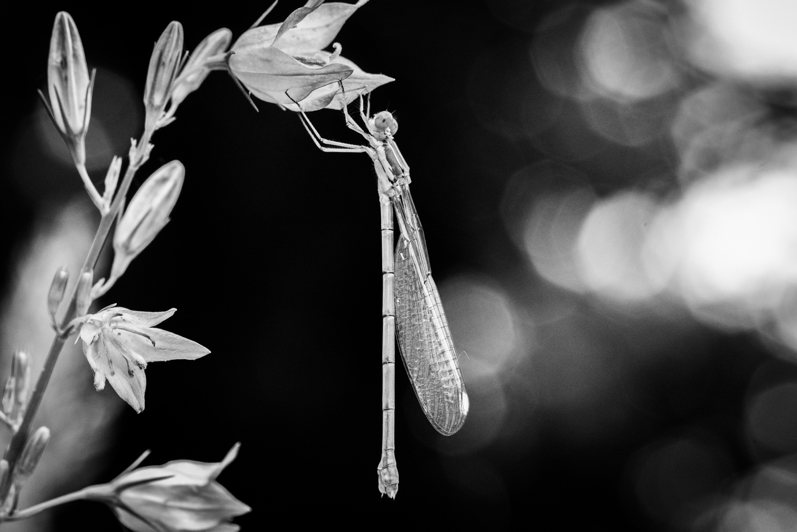 Portfolio 2019 S2 10