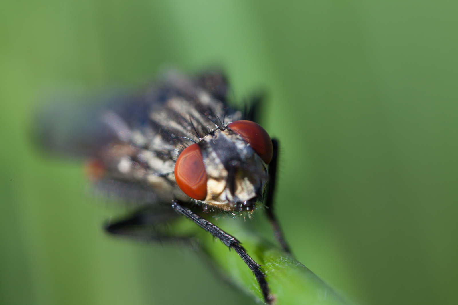 Portfolio 2019 S2 11