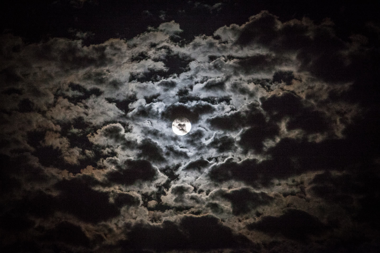 Portfolio 2019 S2 12