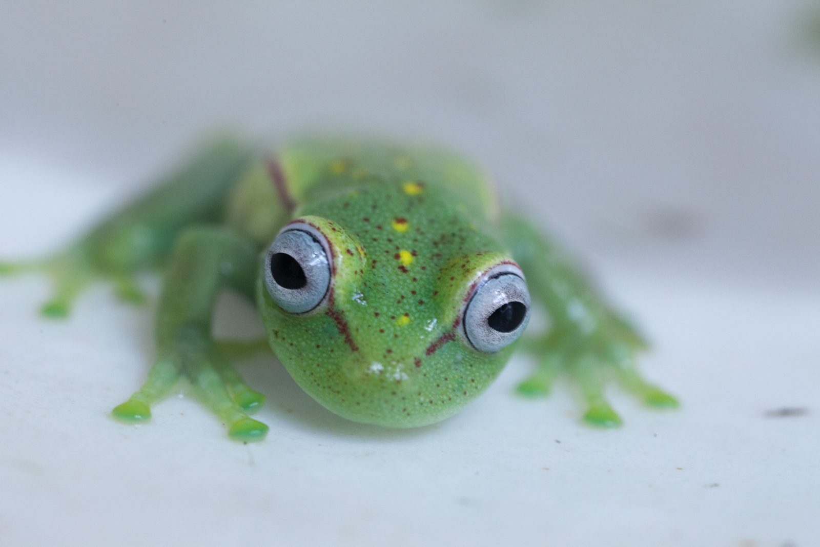 Portfolio 2019 S2 15