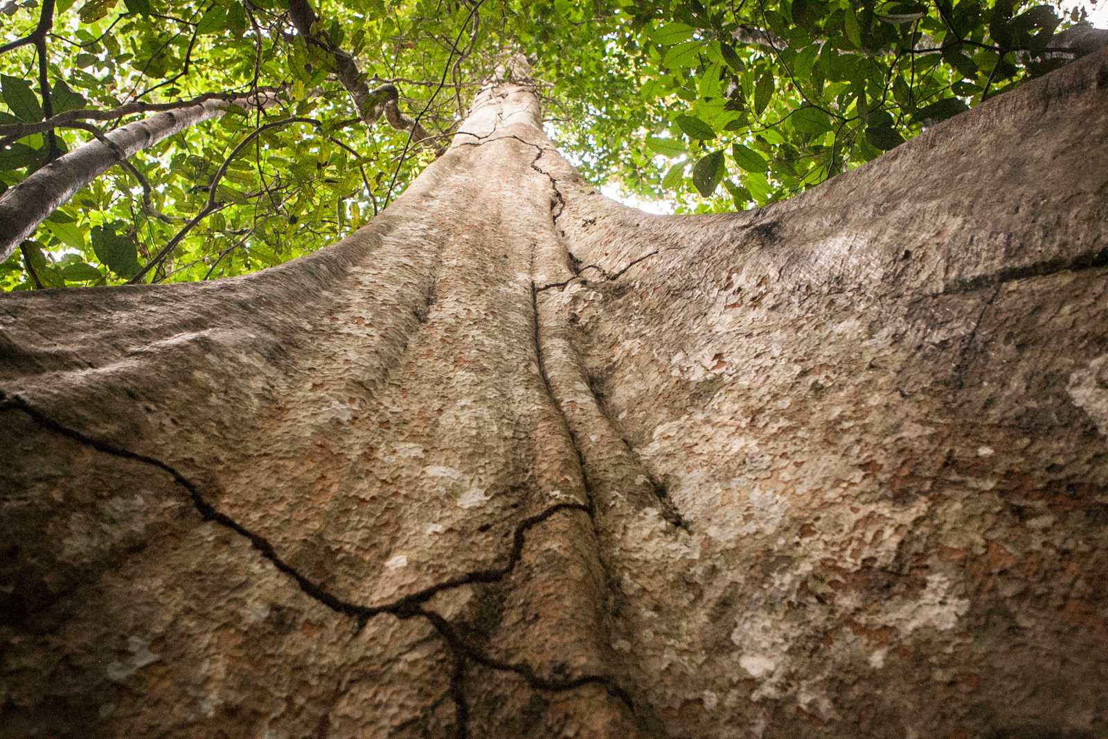 Portfolio 2019 S2 18