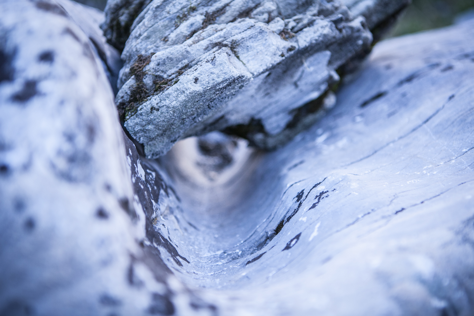 Portfolio 2019 S2 20