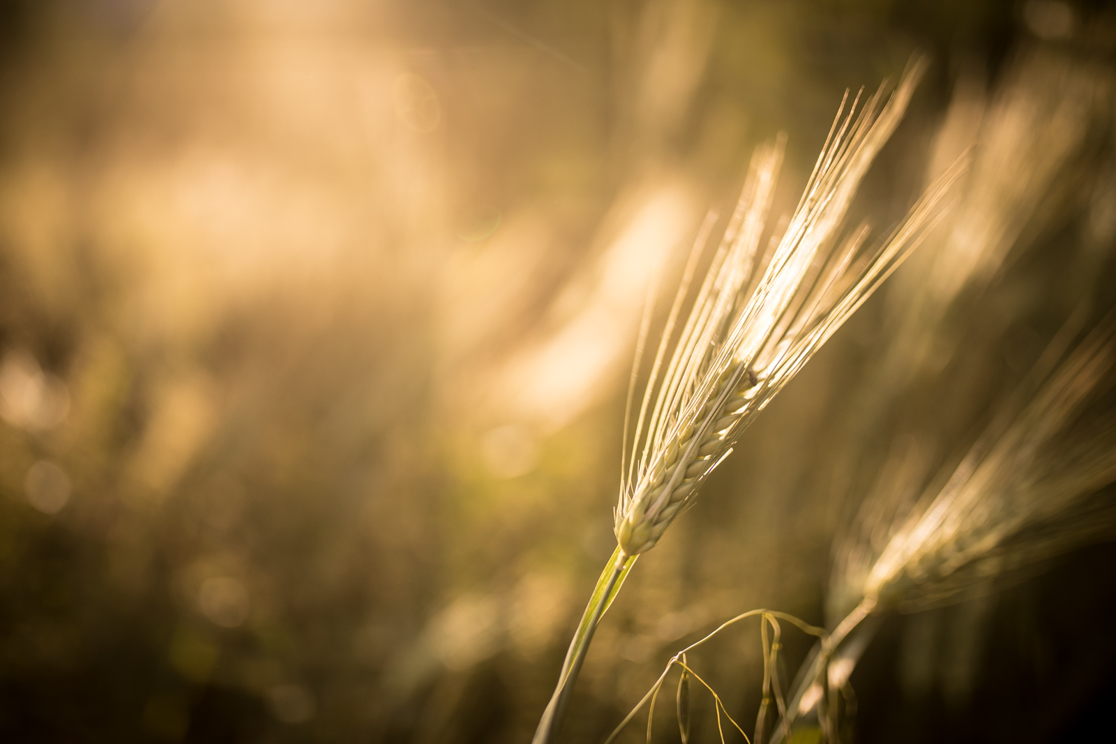 Portfolio 2019 S2 22