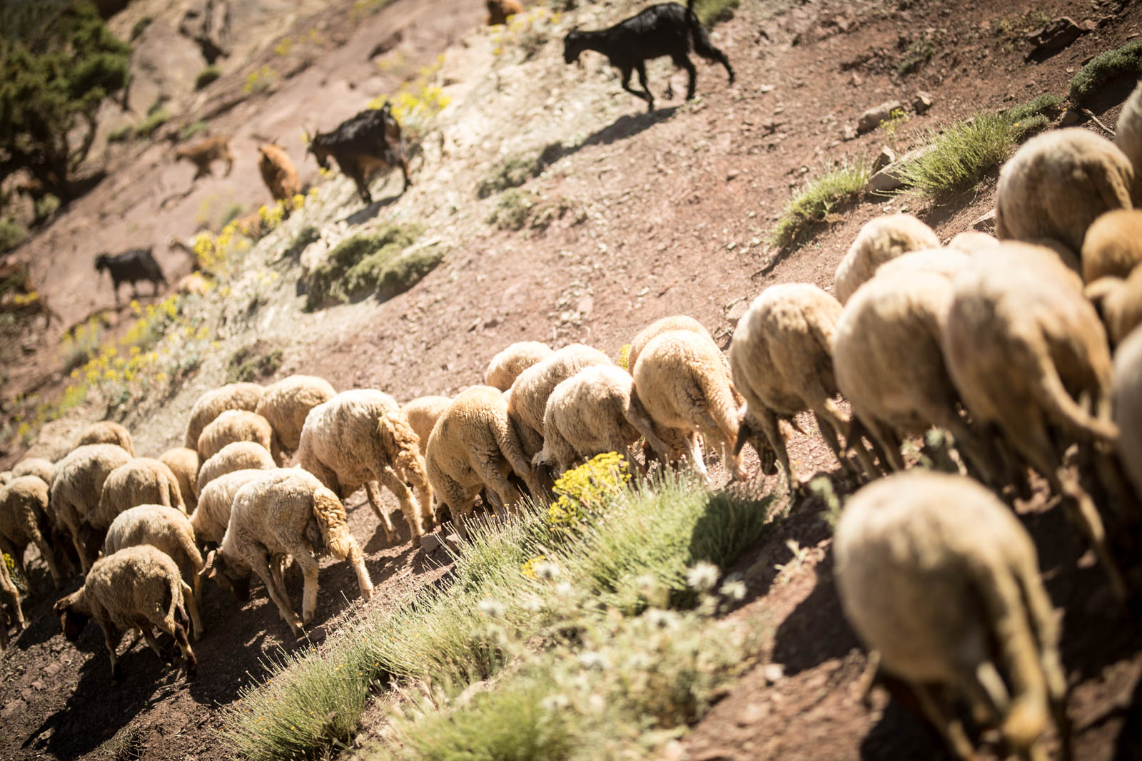 2018 06 22.RoadTripANT Bougames 156