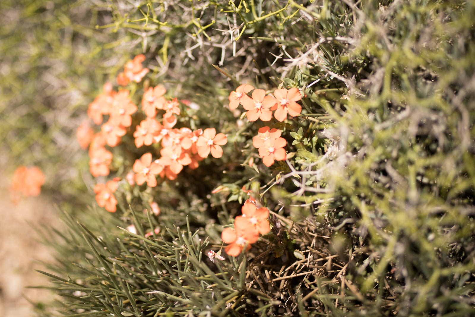 2018 06 22.RoadTripANT Bougames 161