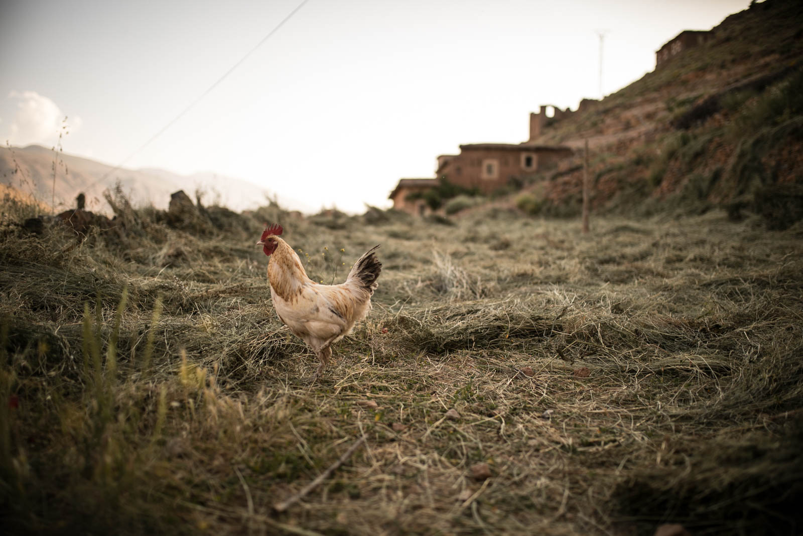 2018 06 22.RoadTripANT Bougames 30