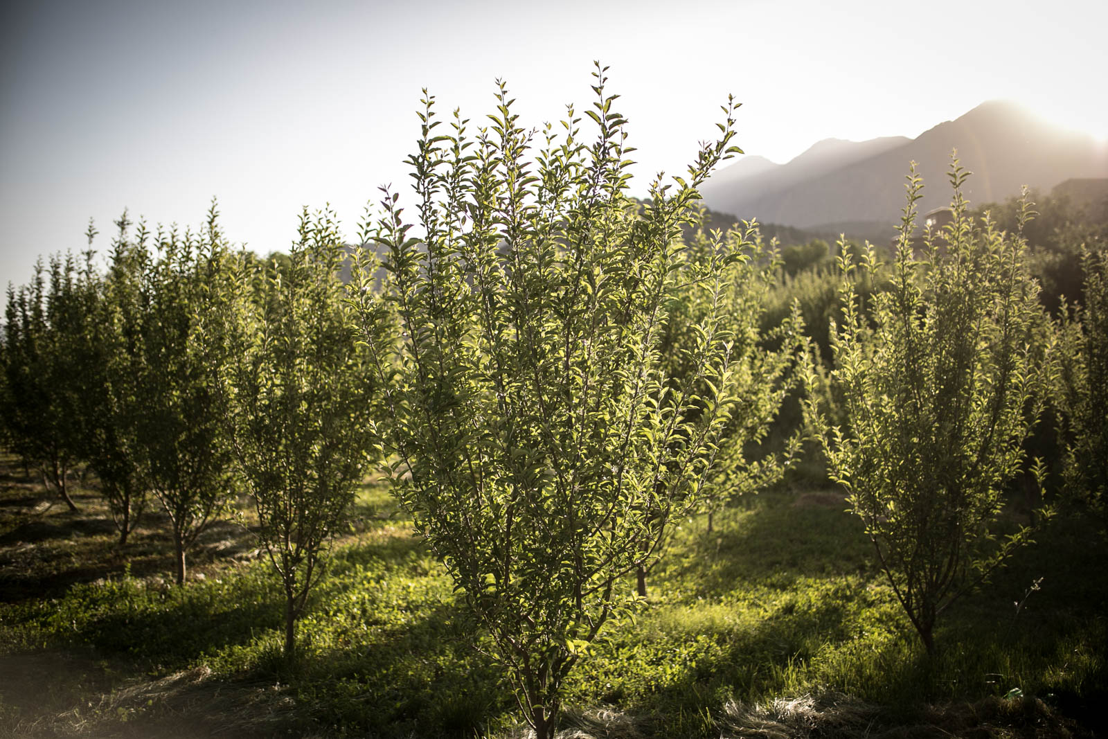 2018 06 22.RoadTripANT Bougames 35