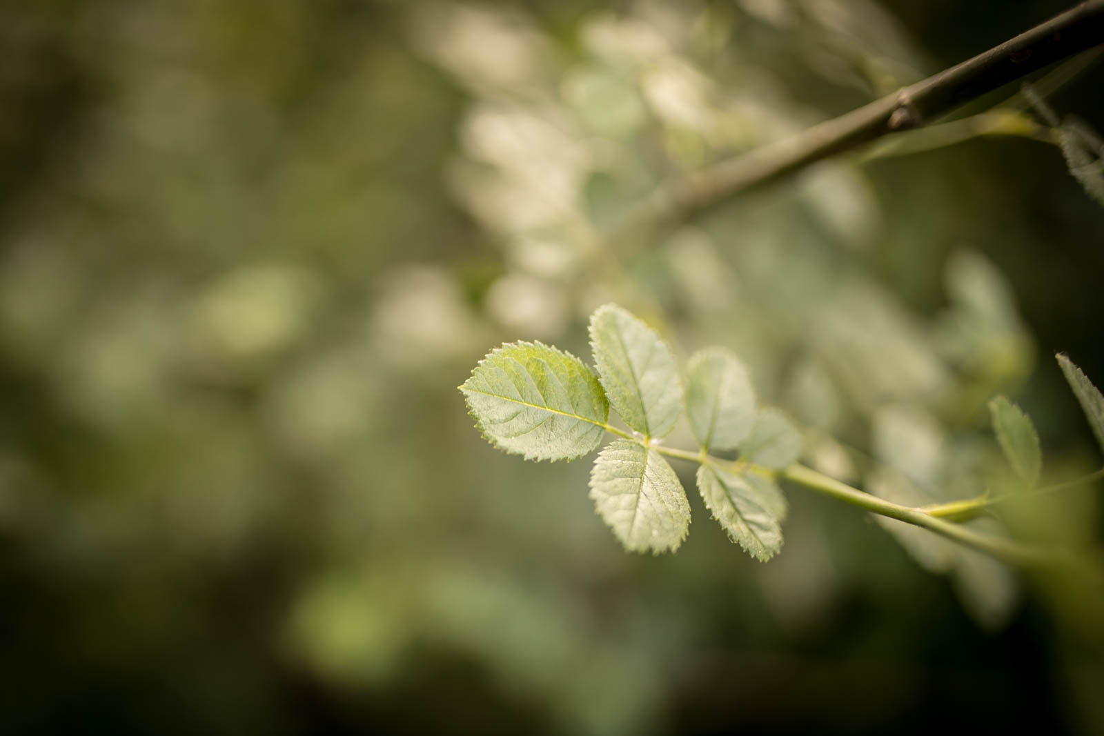 2018 06 22.RoadTripANT Bougames 39