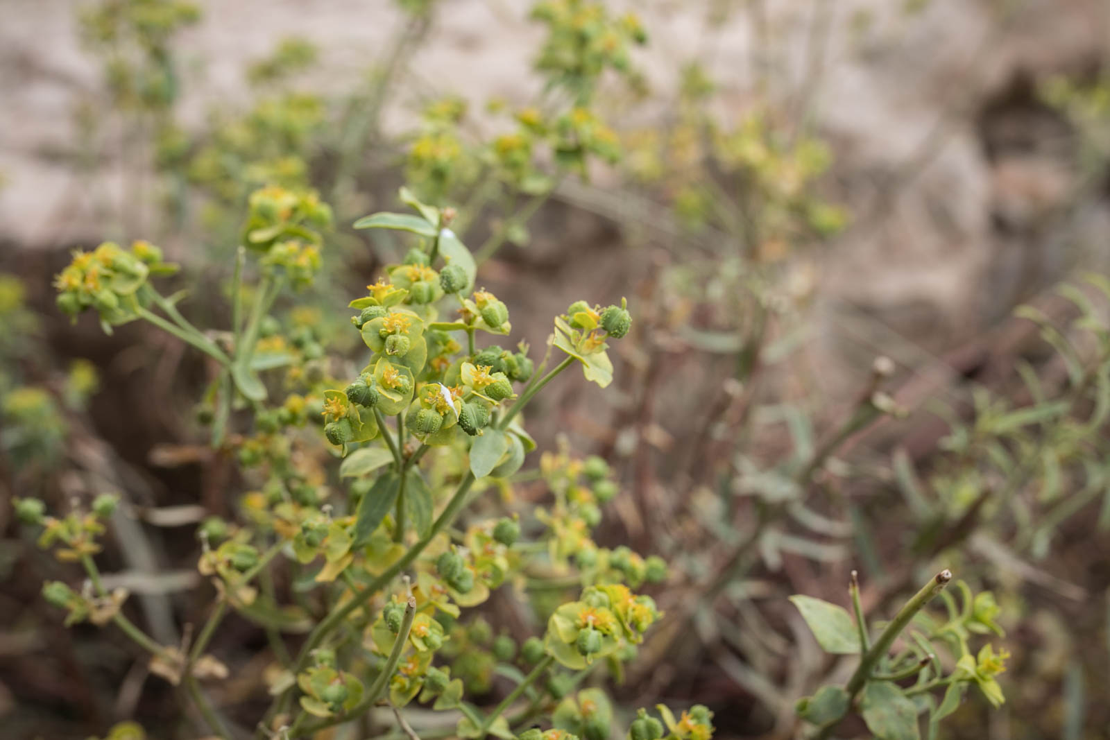 2018 06 22.RoadTripANT Bougames 45