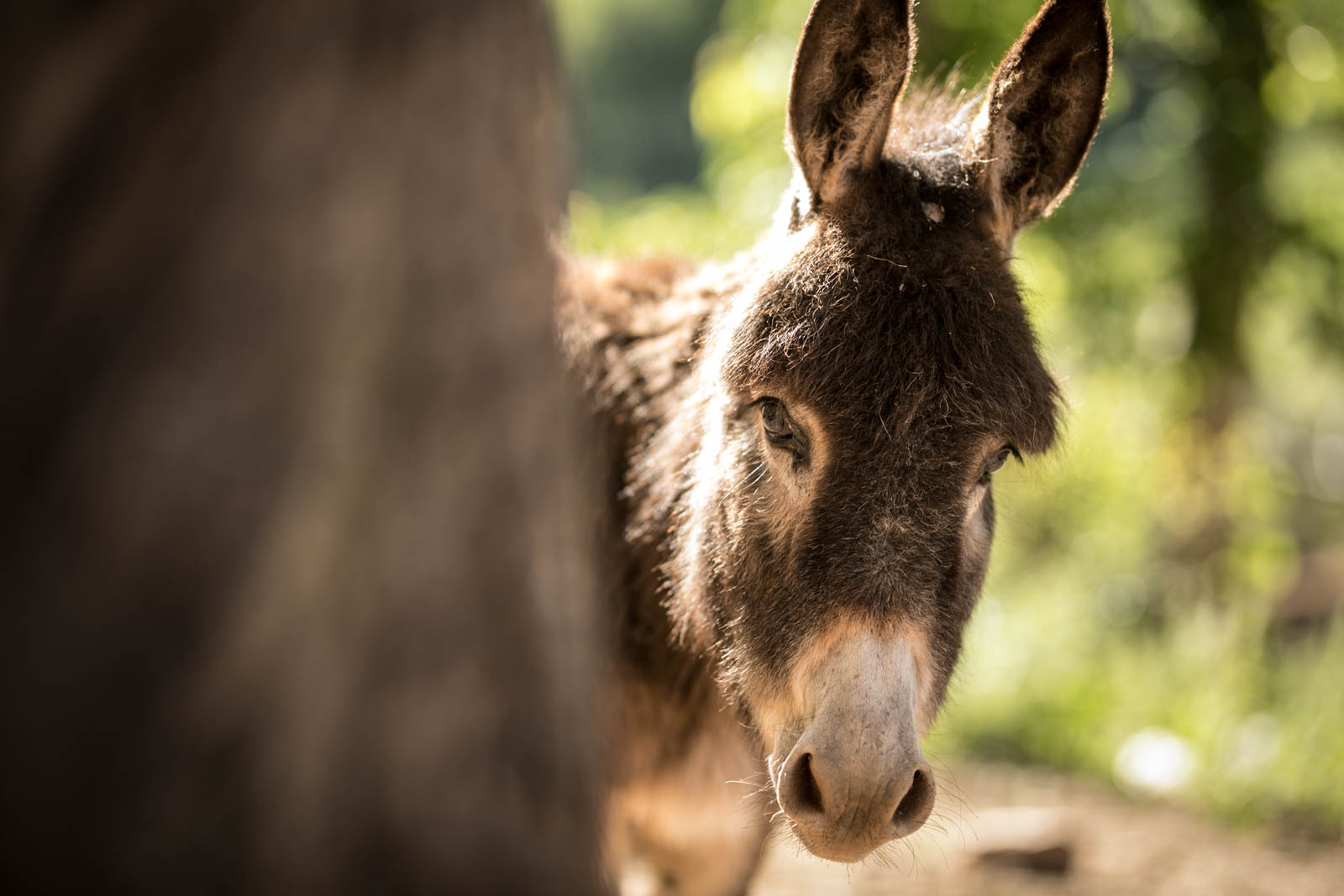 2018 06 22.RoadTripANT Bougames 54