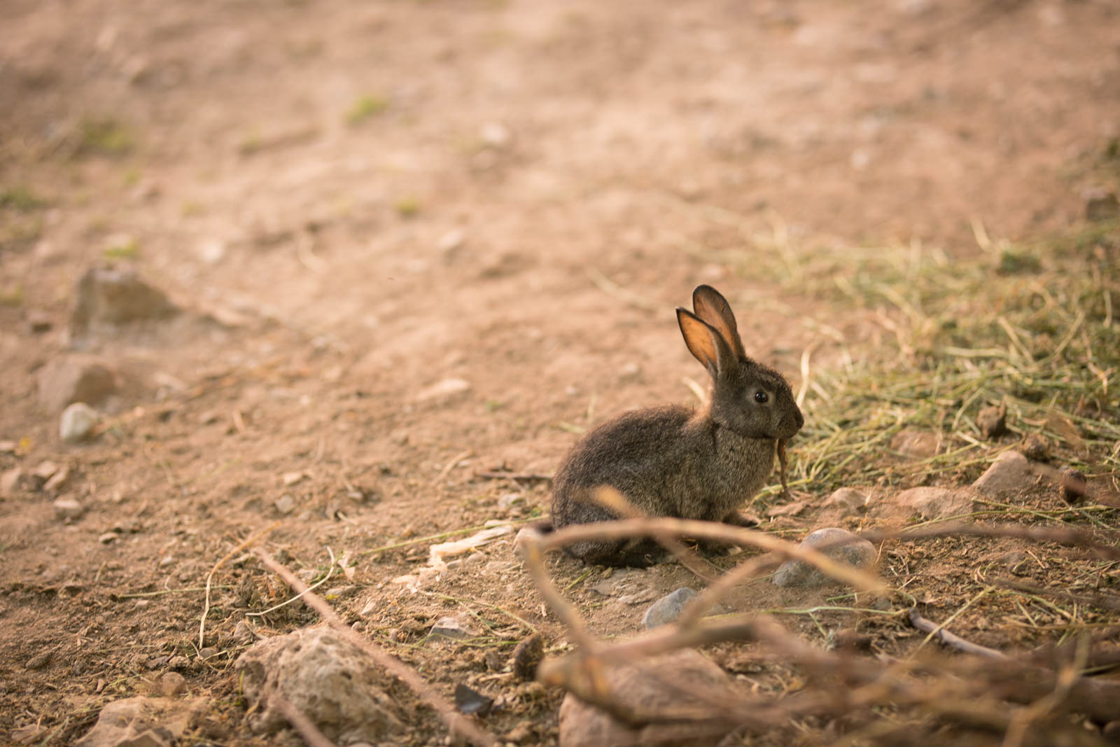 2018 06 22.RoadTripANT Bougames 57