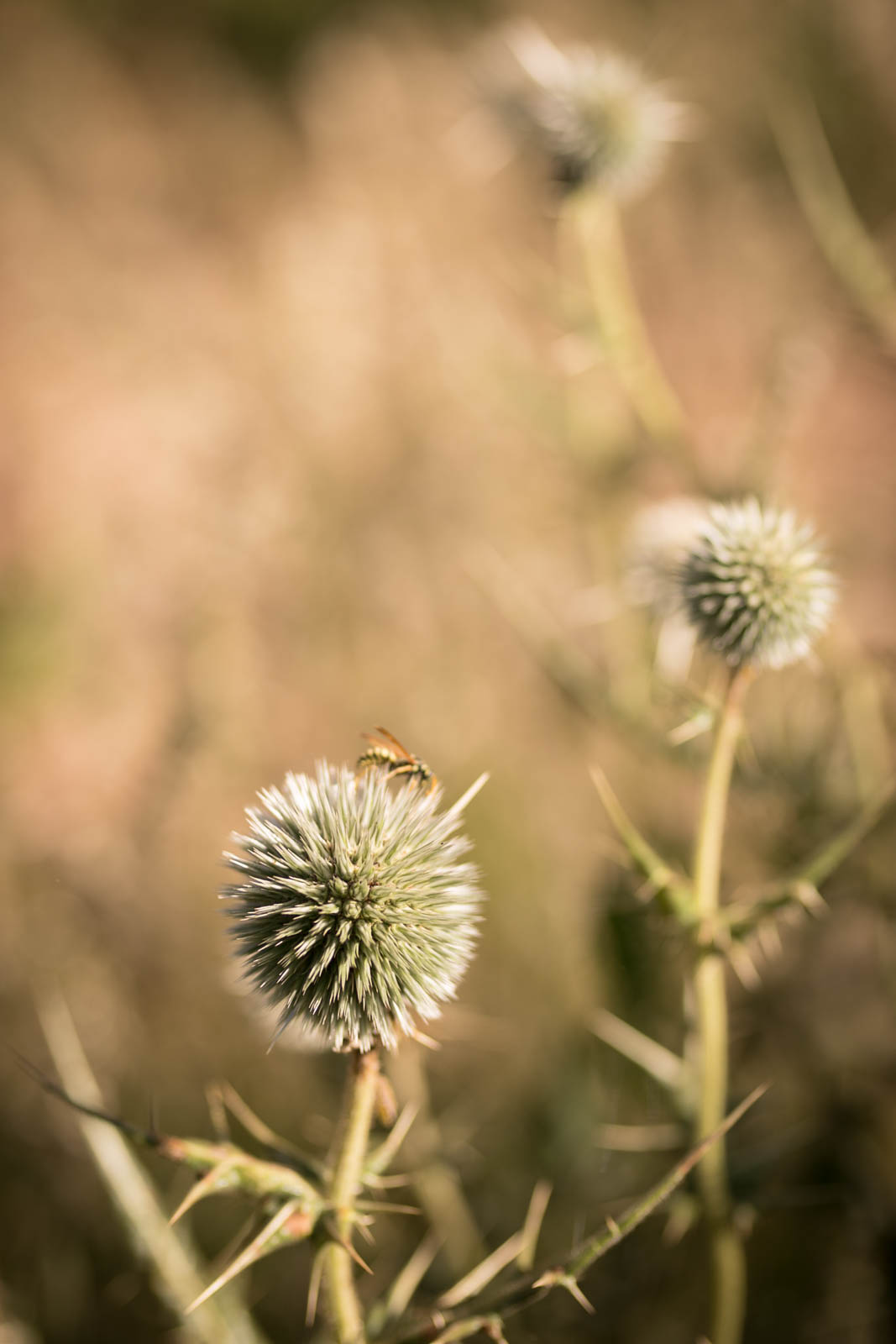 2018 06 22.RoadTripANT Bougames 59