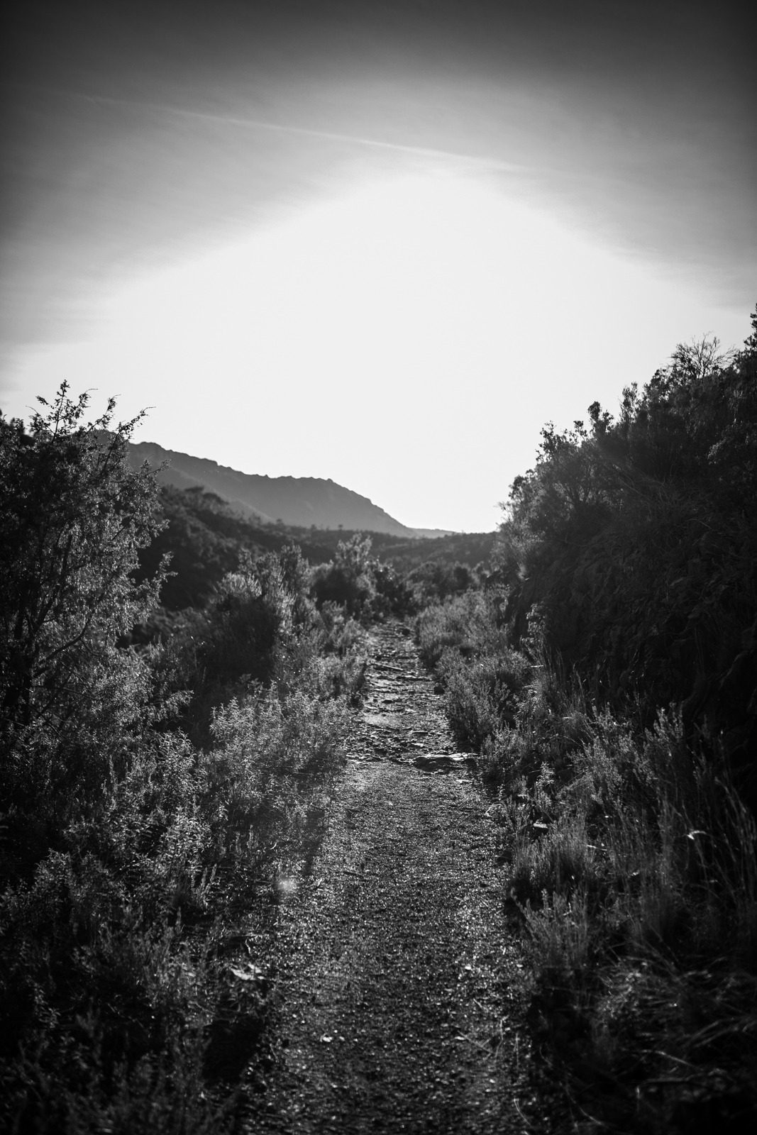 2021 02.ST RAPHAEL 14