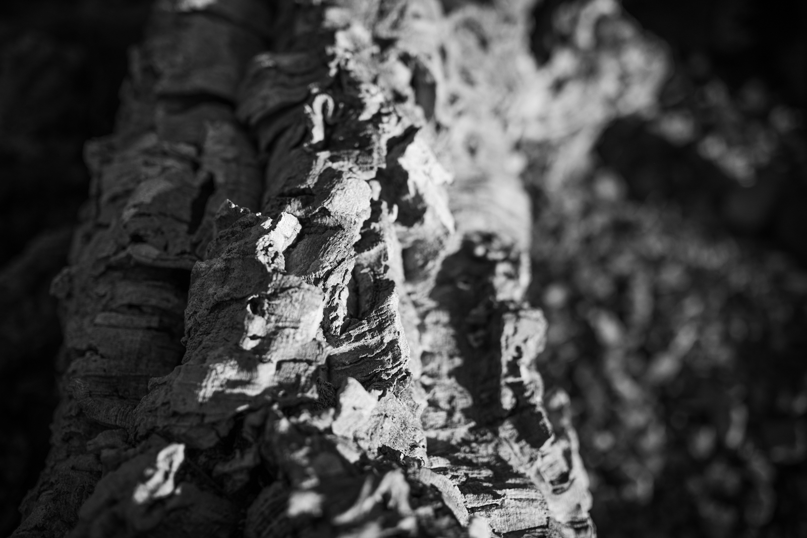 2021 02.ST RAPHAEL 16