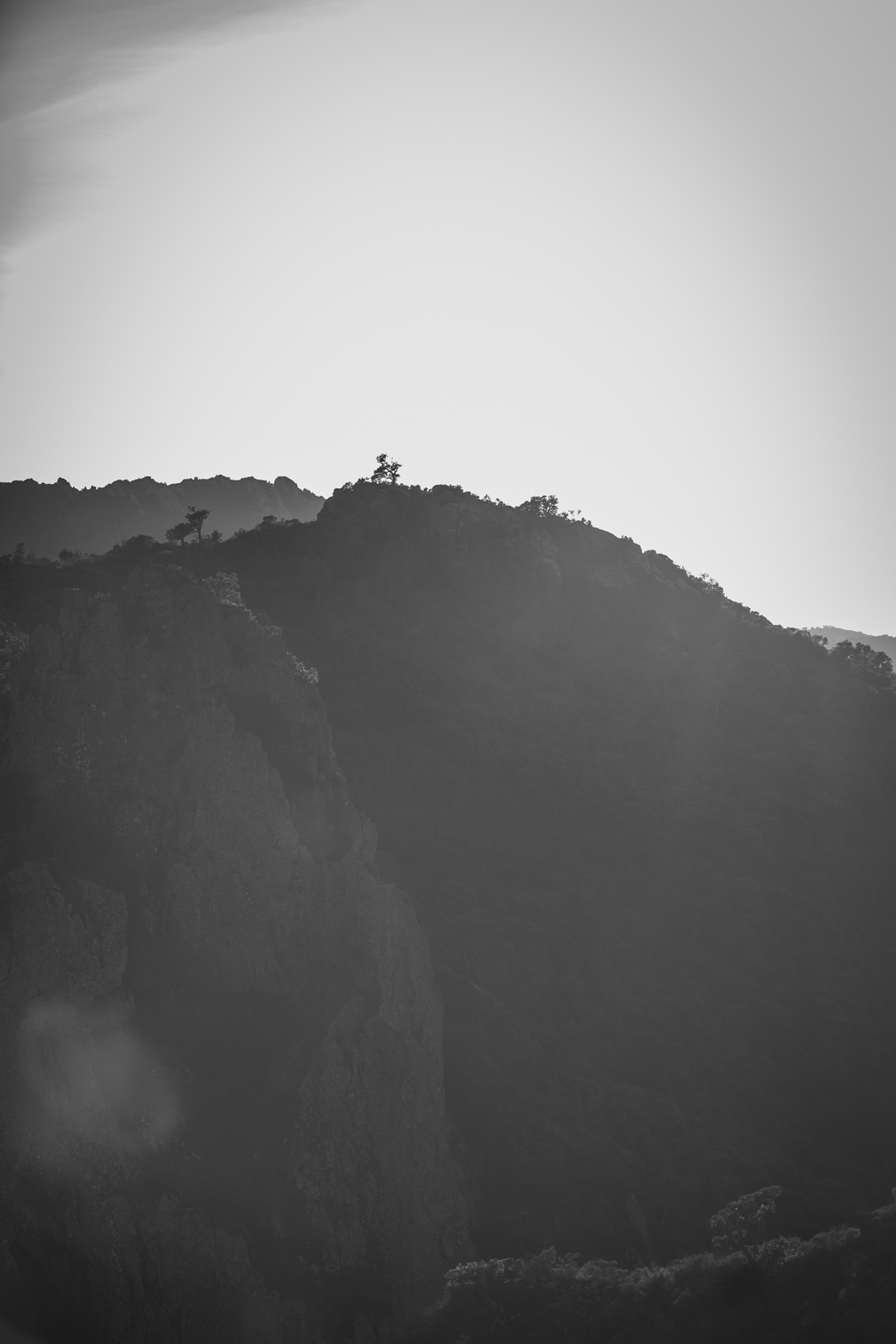 2021 02.ST RAPHAEL 17