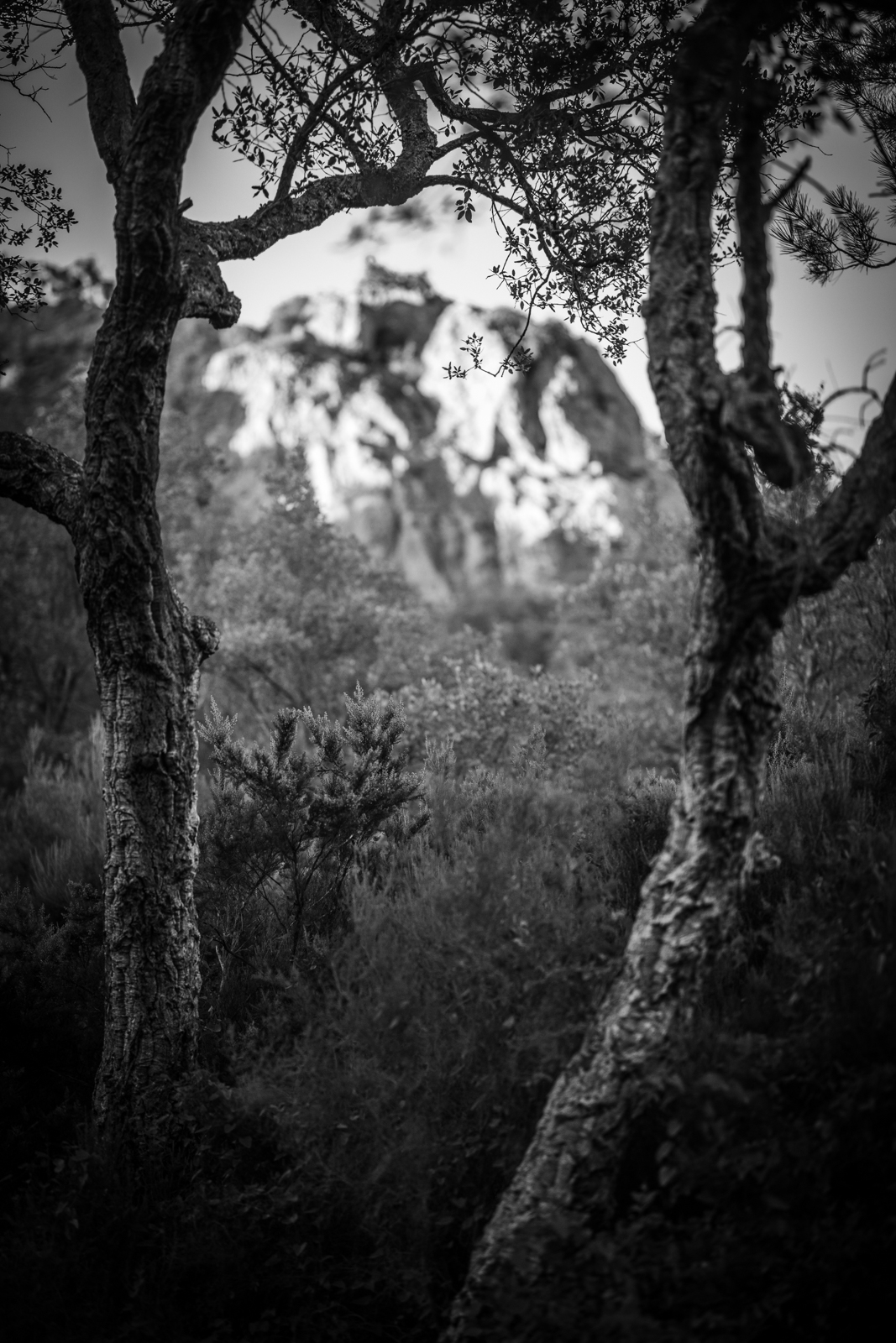 2021 02.ST RAPHAEL 21