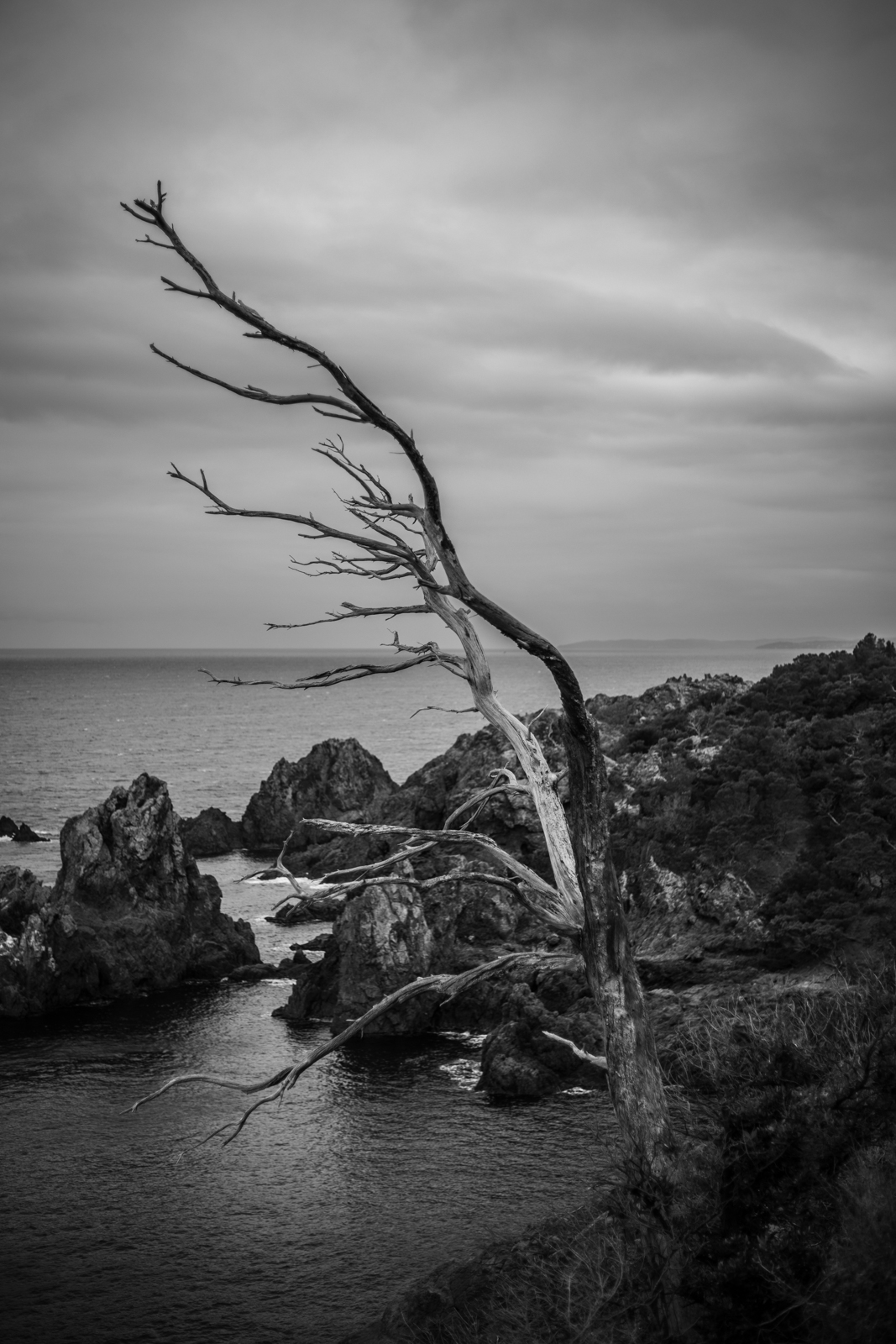 2021 02.ST RAPHAEL 26