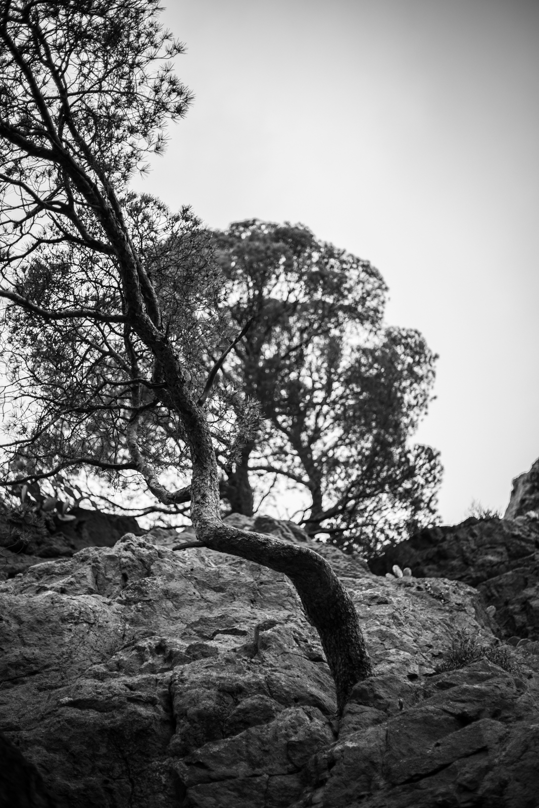 2021 02.ST RAPHAEL 31