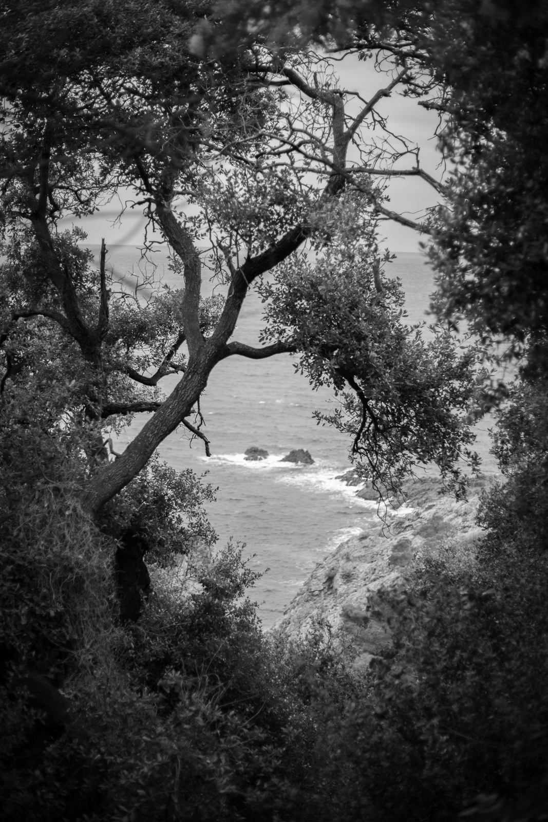 2021 02.ST RAPHAEL 32