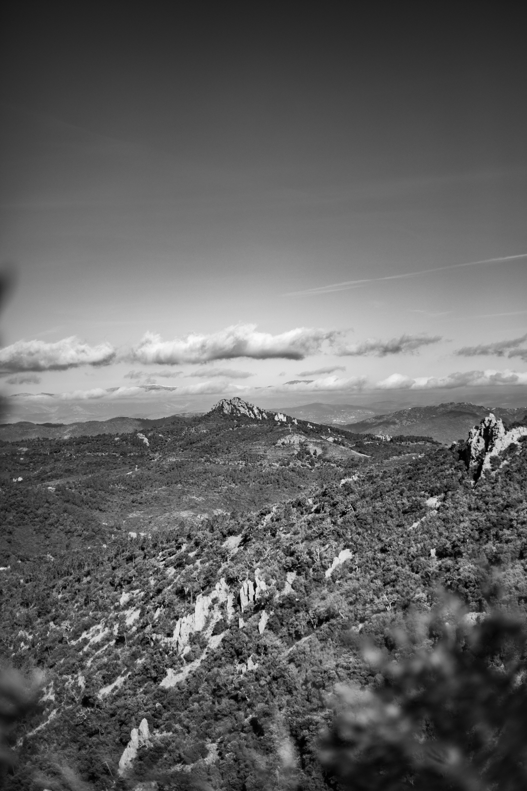 2021 02.ST RAPHAEL 39