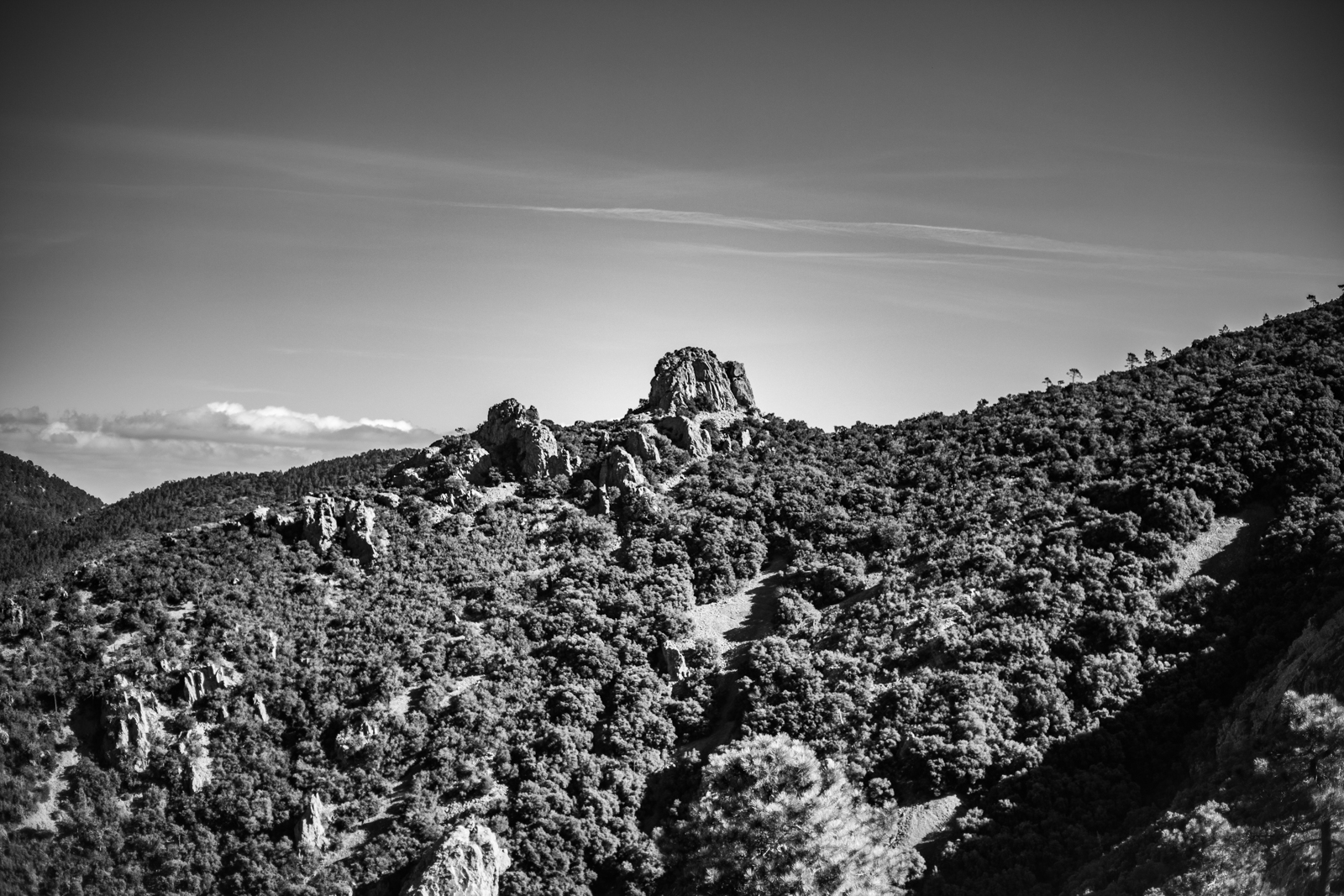 2021 02.ST RAPHAEL 40