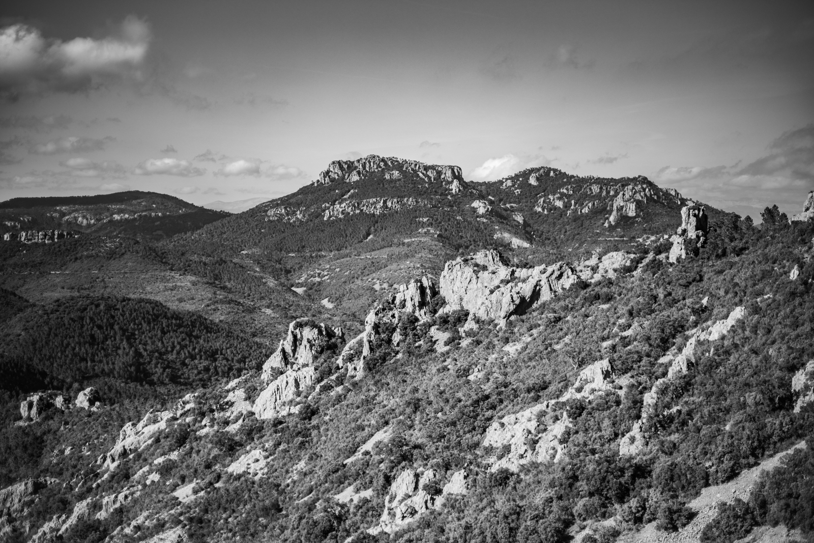 2021 02.ST RAPHAEL 42