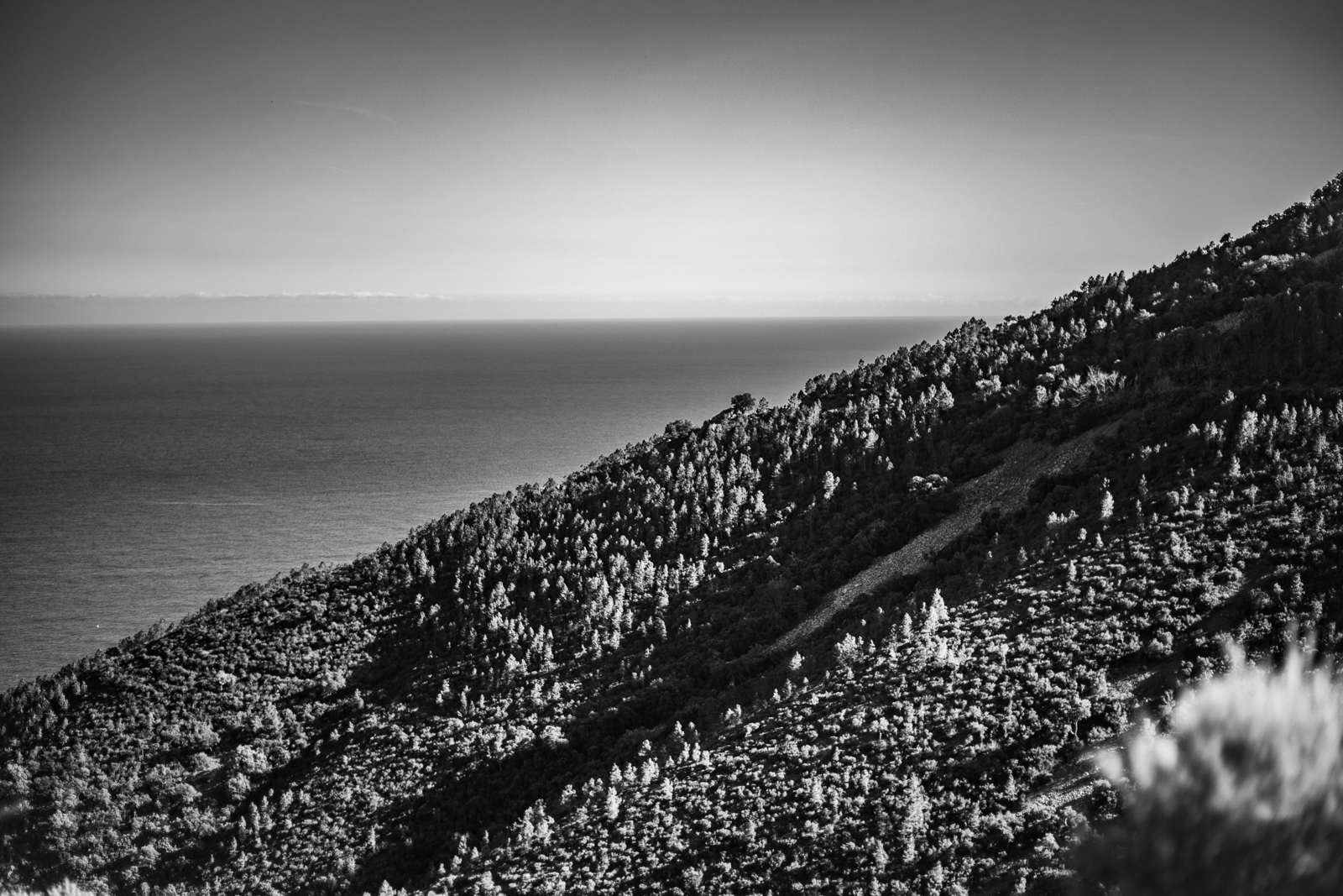 2021 02.ST RAPHAEL 43