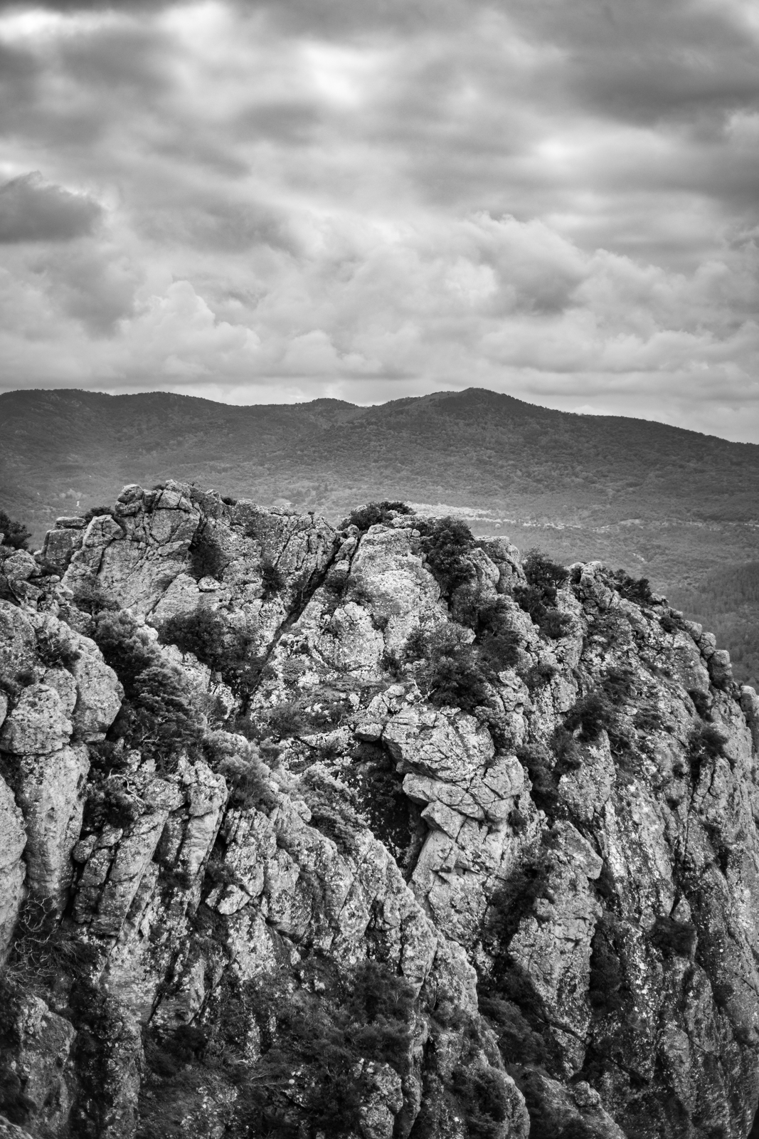 2021 02.ST RAPHAEL 46