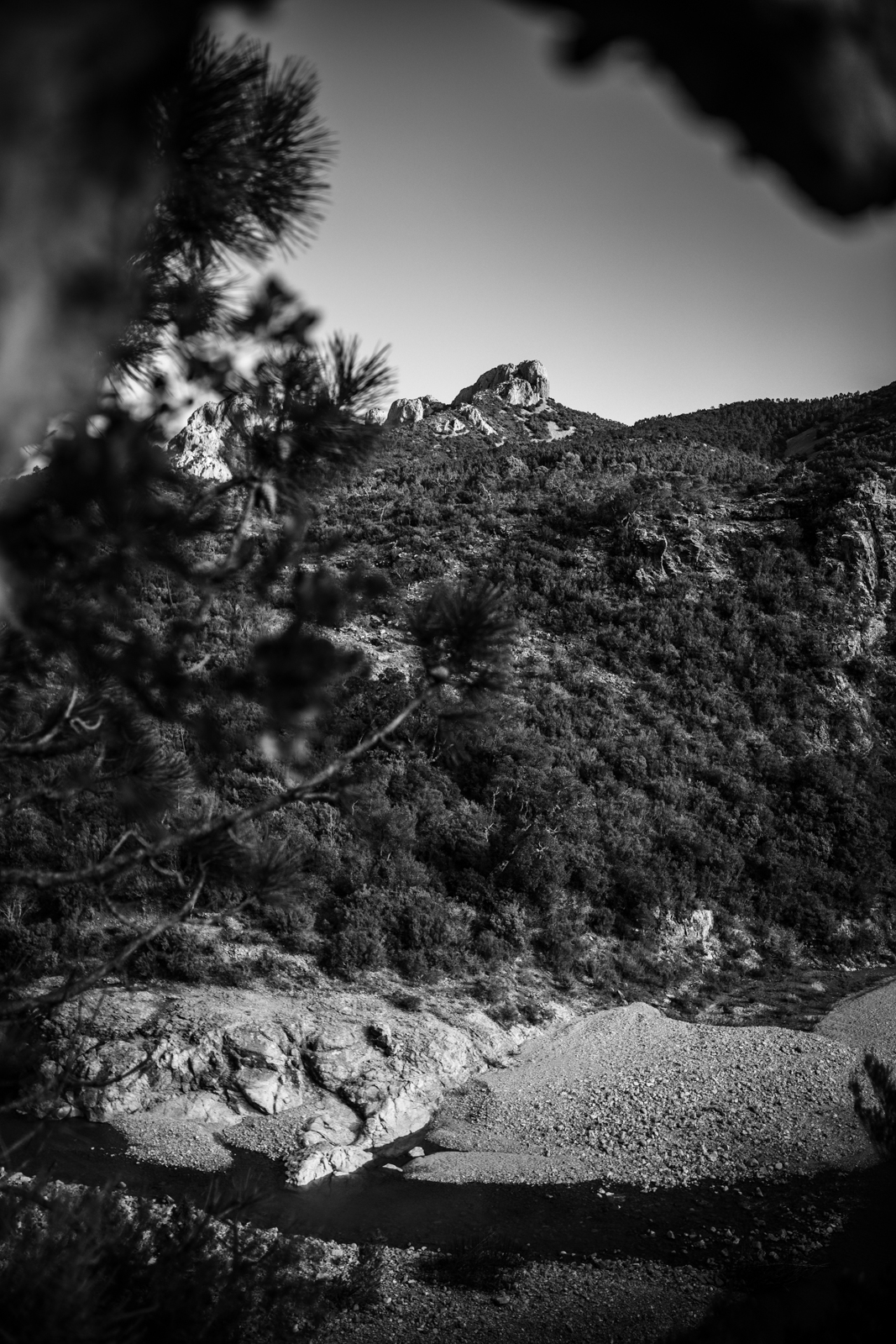 2021 02.ST RAPHAEL 5