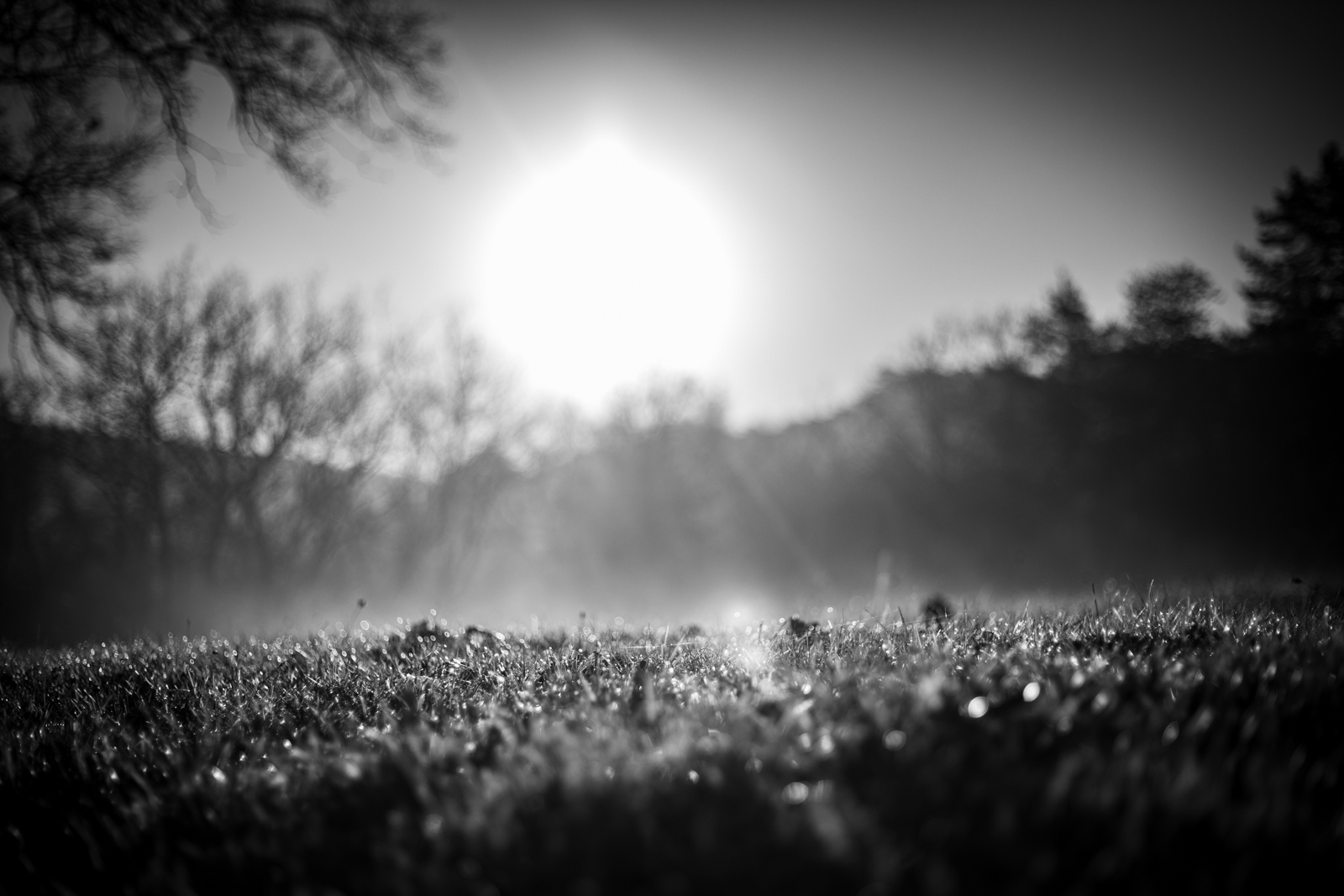 2021 02.ST RAPHAEL 51