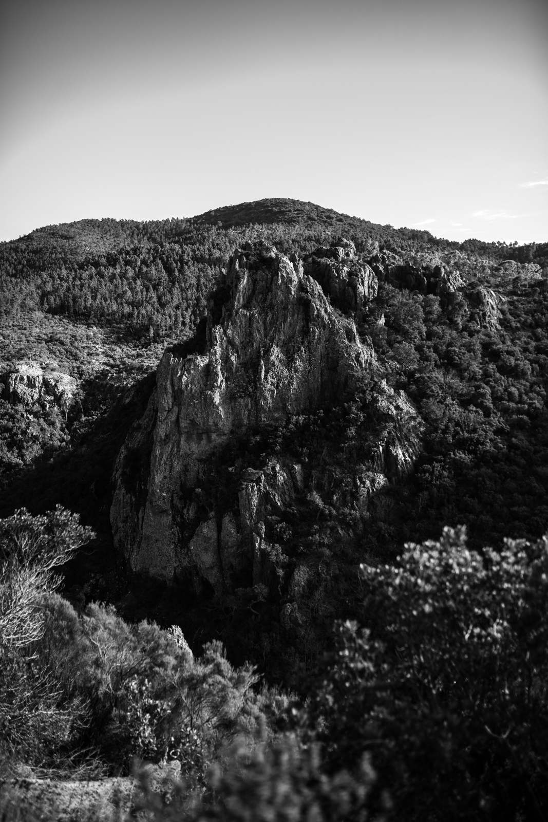 2021 02.ST RAPHAEL 8