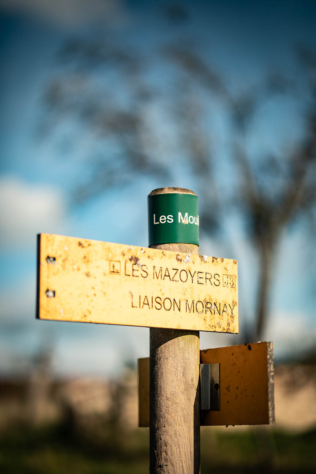 2022 10.Mornay Portfolio 33