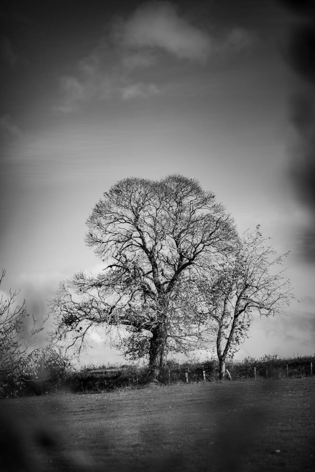 2022 10.Mornay Portfolio 34