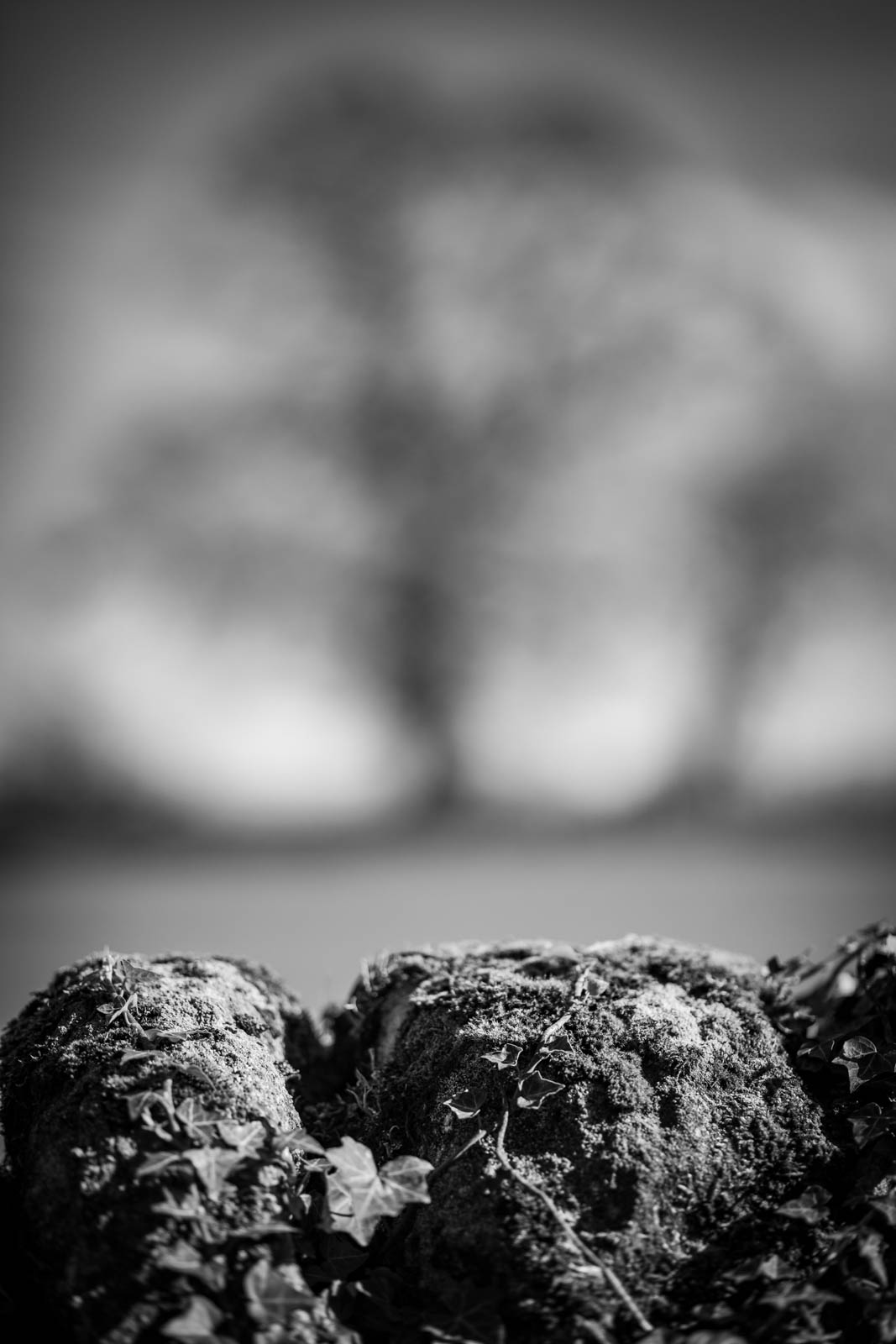 2022 10.Mornay Portfolio 35