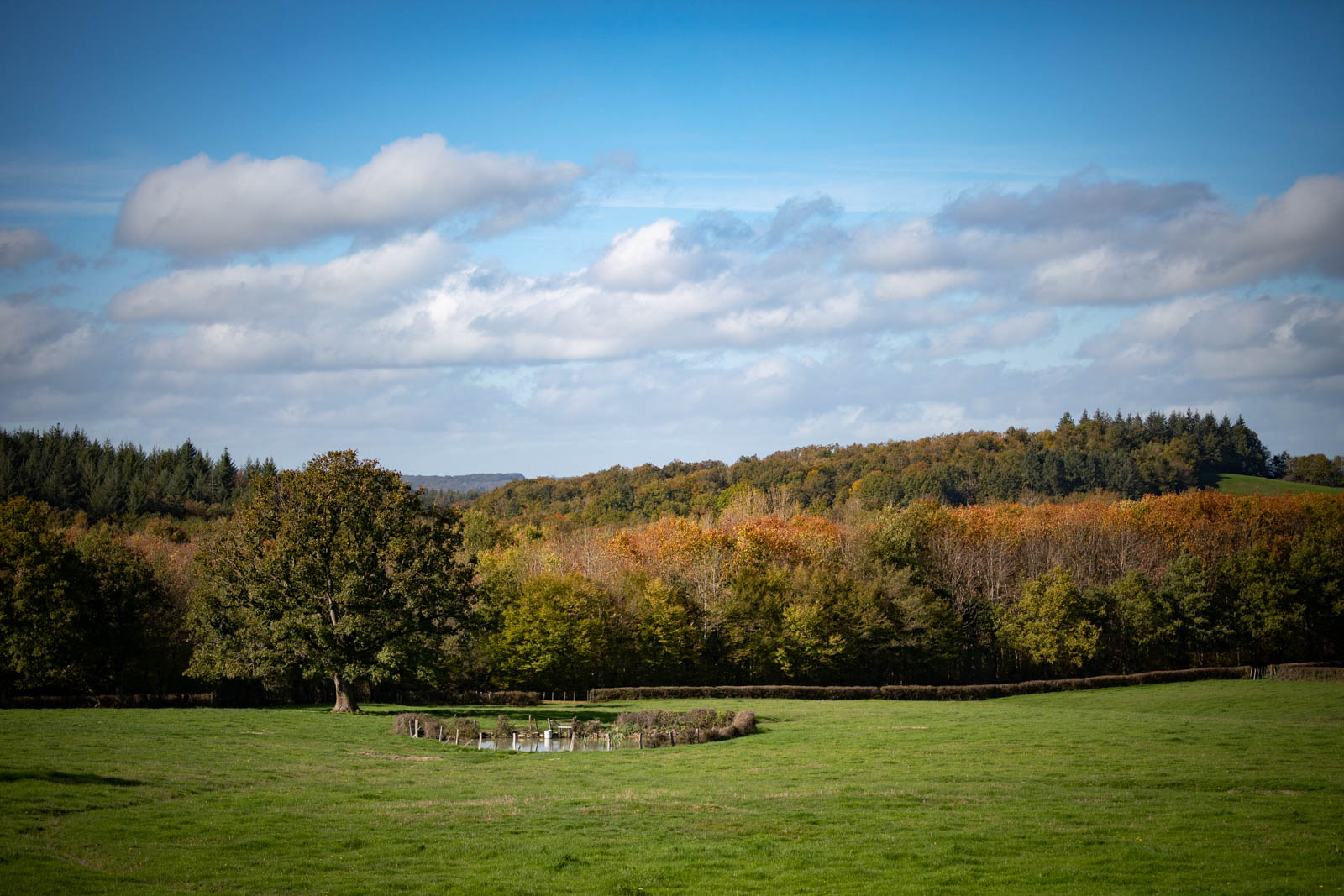 2022 10.Mornay Portfolio 36