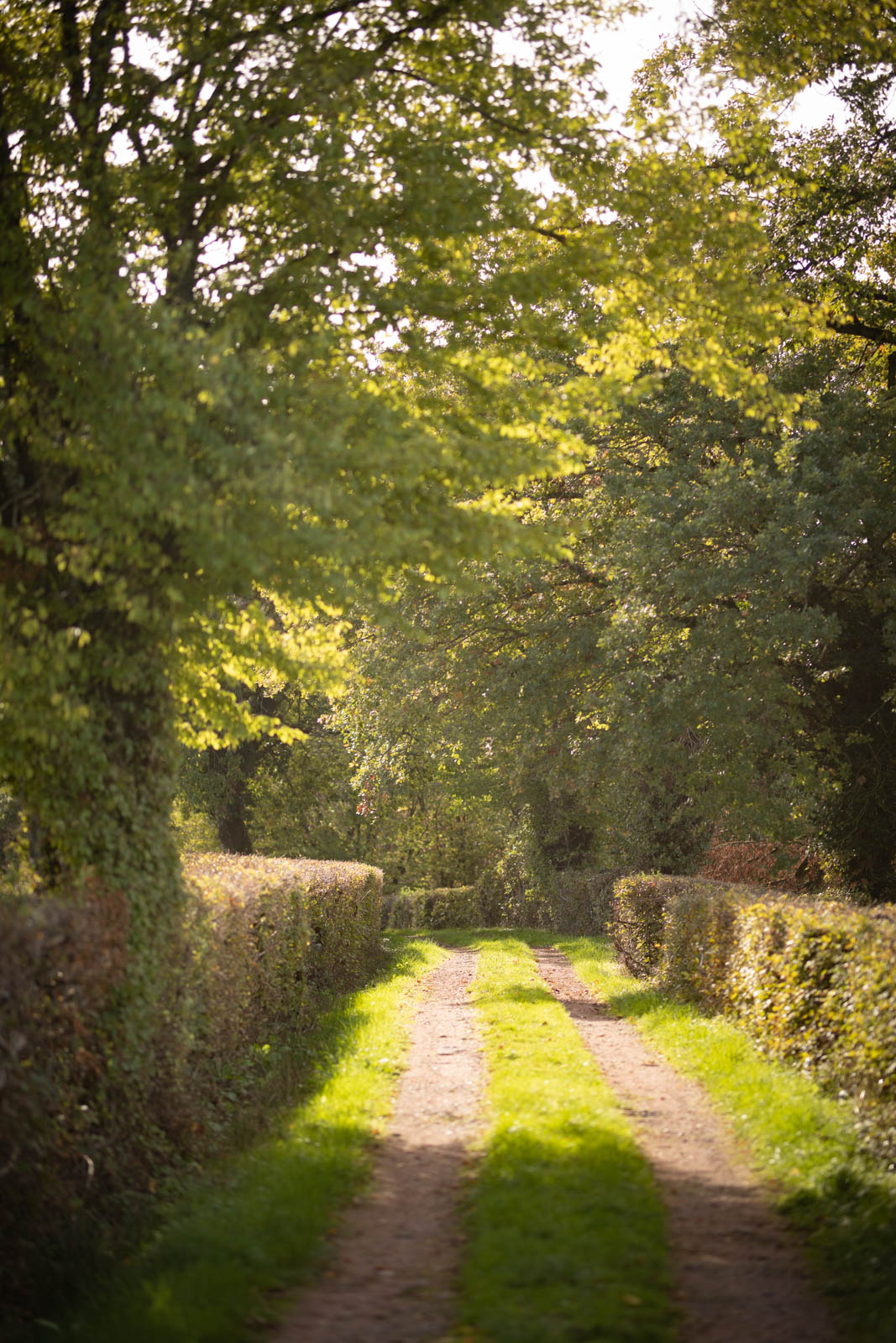 2022 10.Mornay Portfolio 38