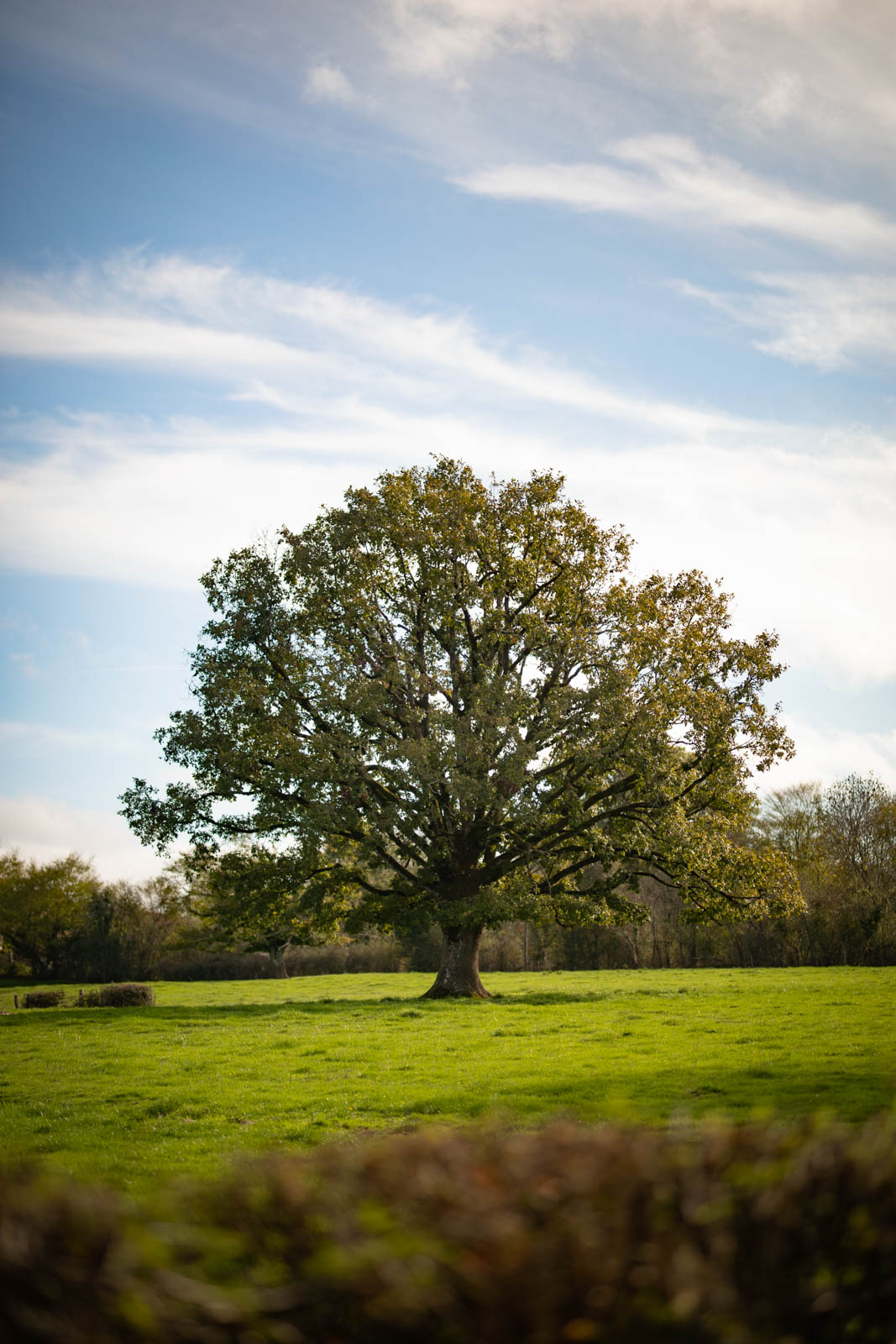 2022 10.Mornay Portfolio 39