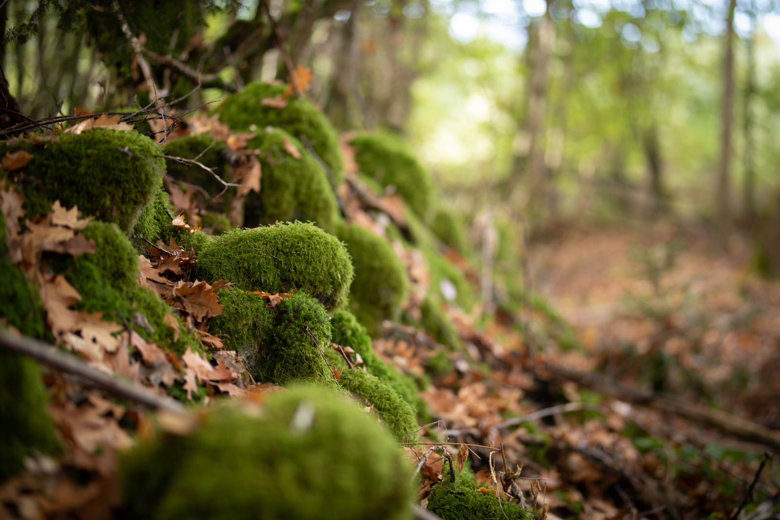 2022 10.Mornay Portfolio 41