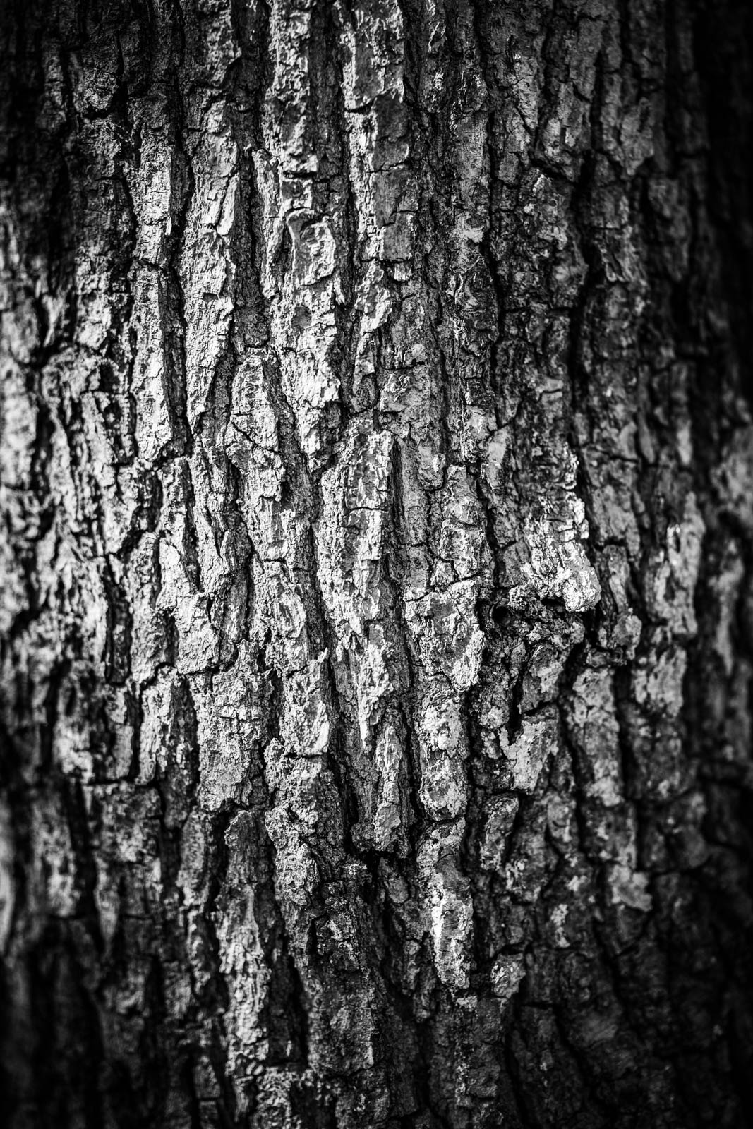 2022 10.Mornay Portfolio 45