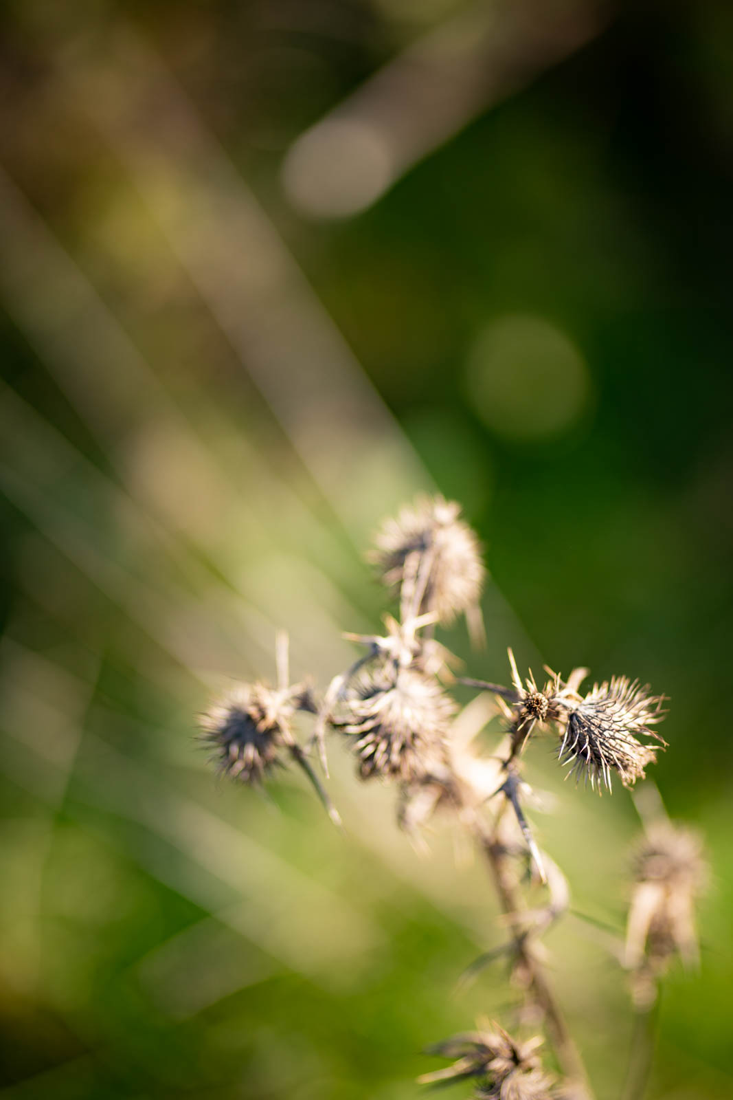 2022 10.Mornay Portfolio 47