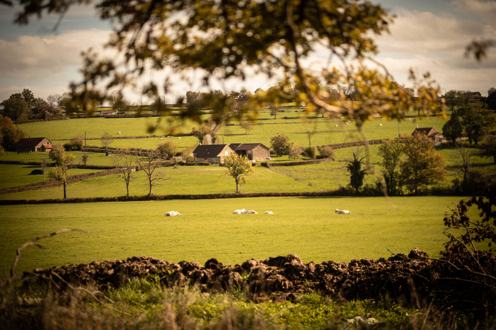 2022 10.Mornay Portfolio 48