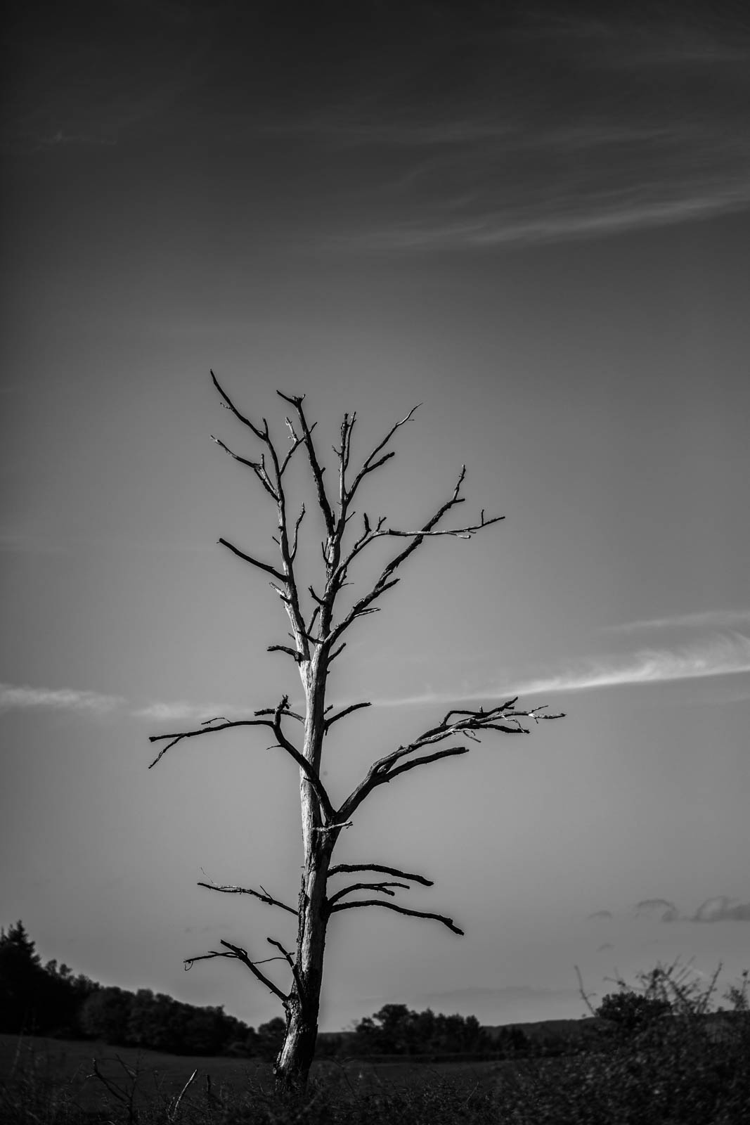 2022 10.Mornay Portfolio 49